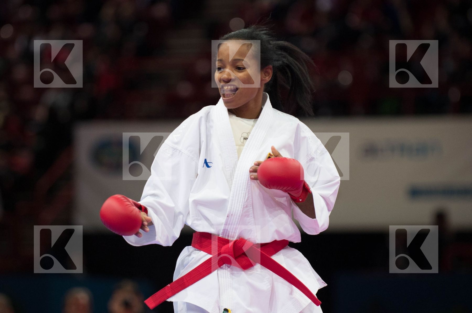 World Senior Karate Championship 2012 Paris 2012