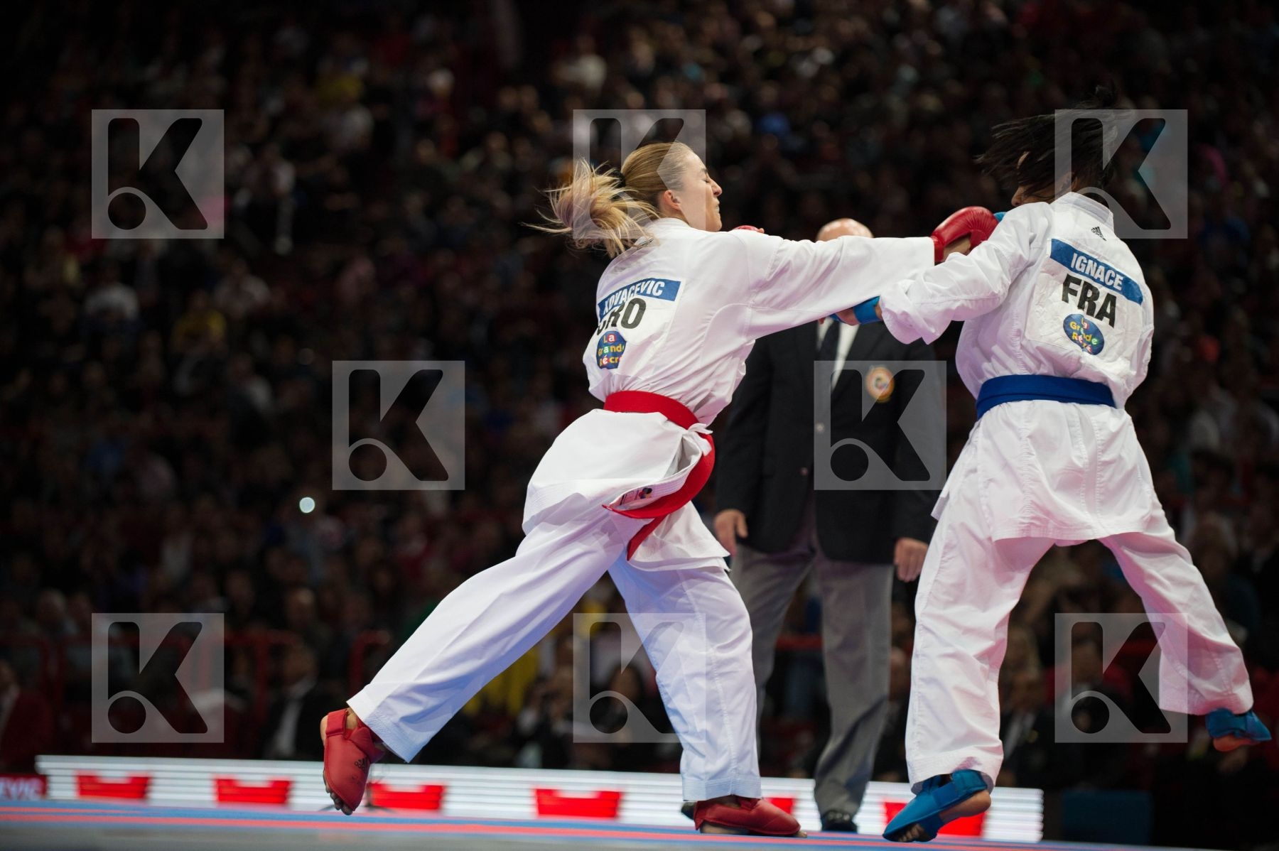 World Senior Karate Championship 2012 Paris 2012