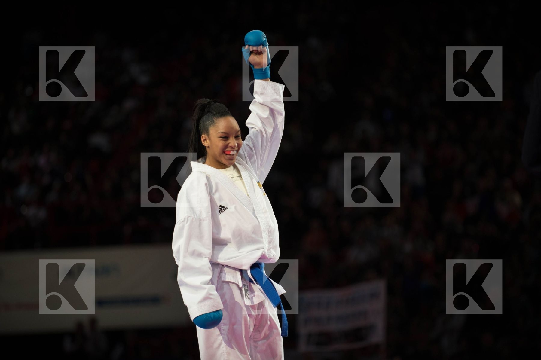 World Senior Karate Championship 2012 Paris 2012