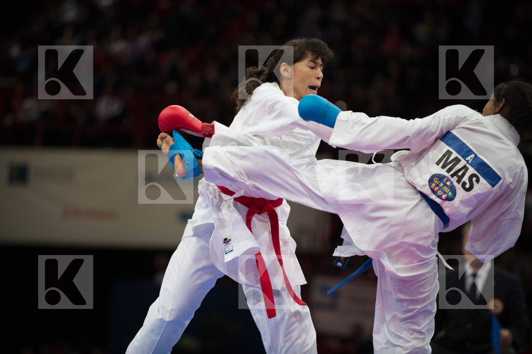 World Senior Karate Championship 2012 Paris 2012