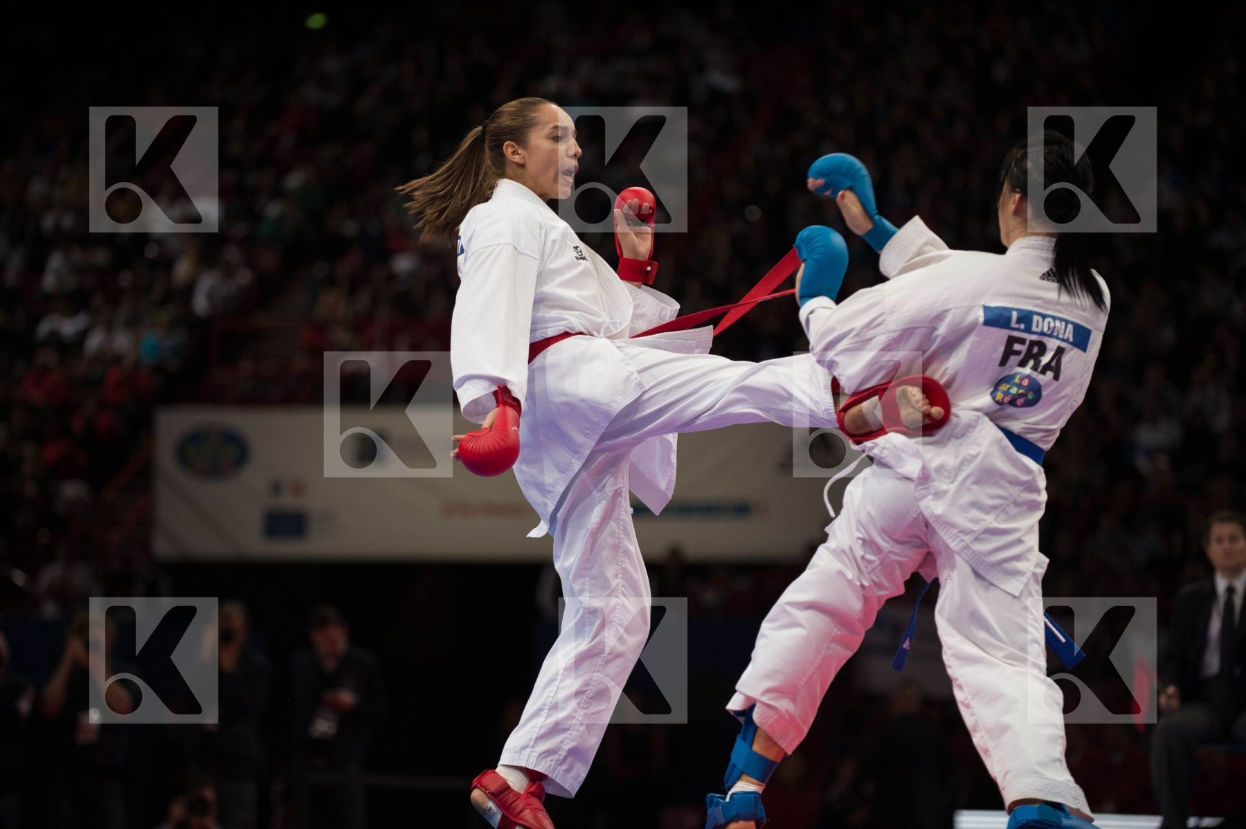 World Senior Karate Championship 2012 Paris 2012