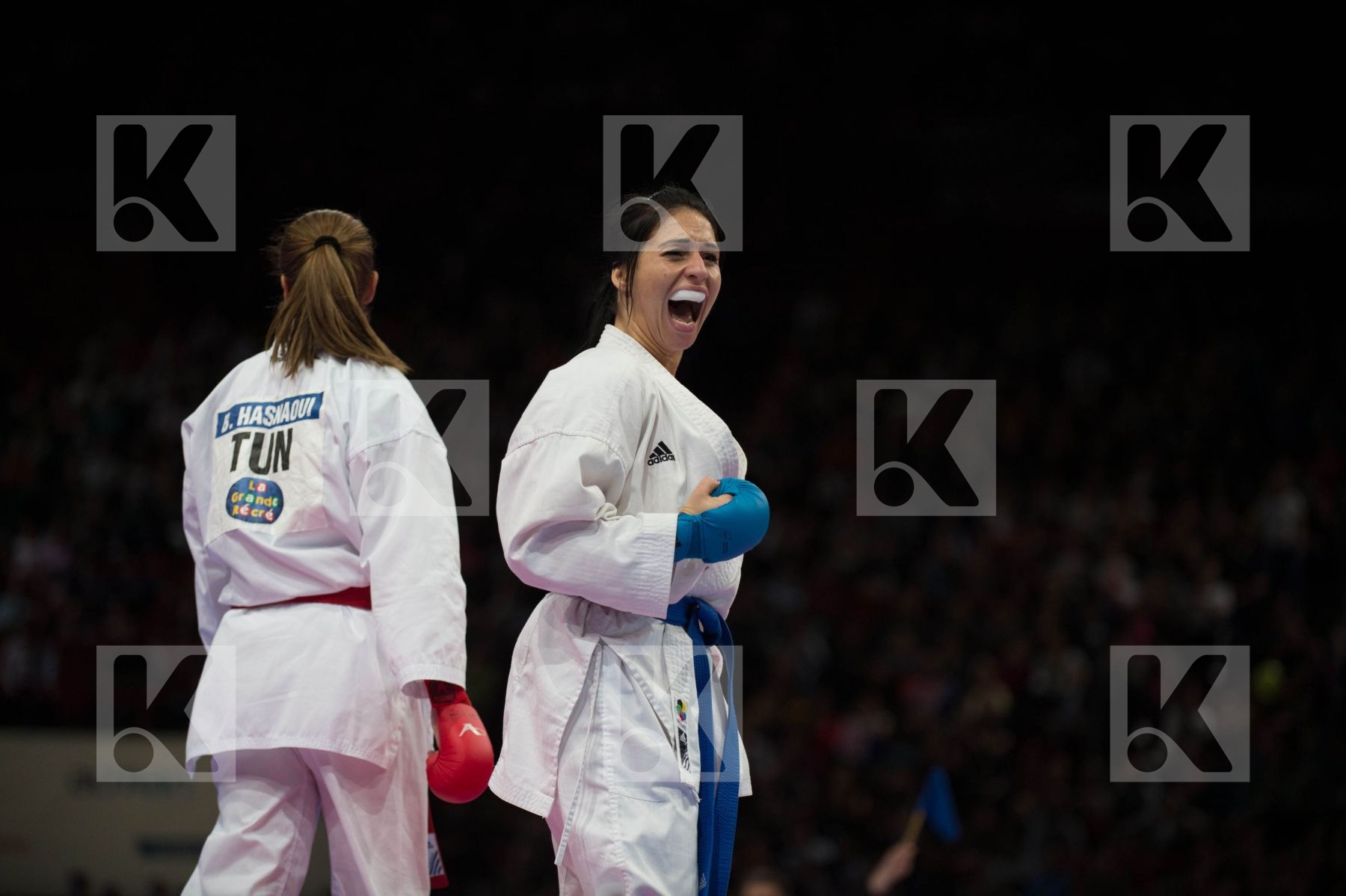 World Senior Karate Championship 2012 Paris 2012