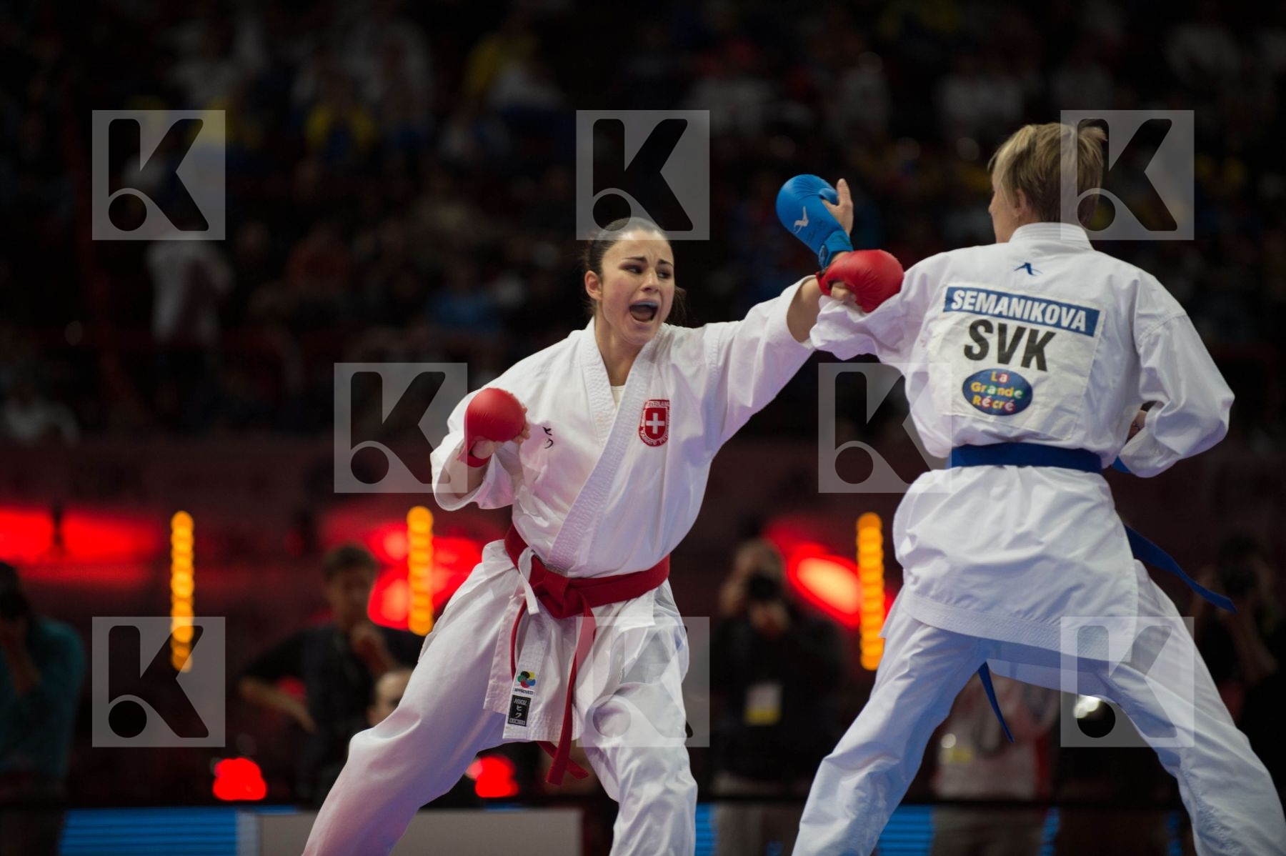 World Senior Karate Championship 2012 Paris 2012