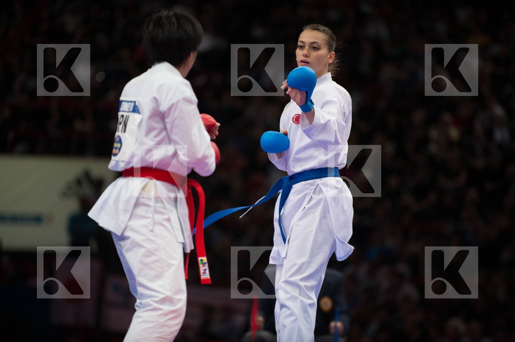 World Senior Karate Championship 2012 Paris 2012