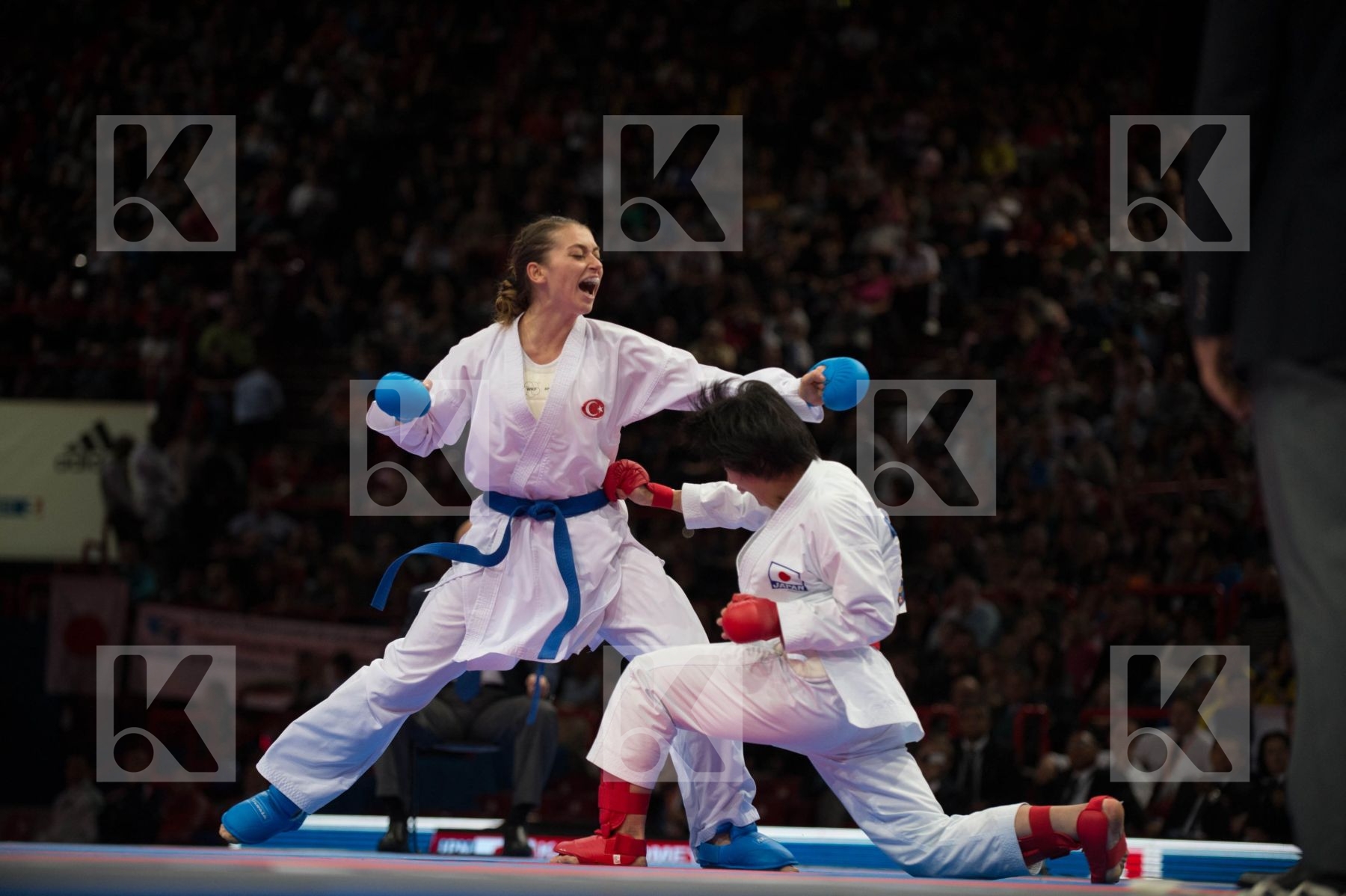 World Senior Karate Championship 2012 Paris 2012