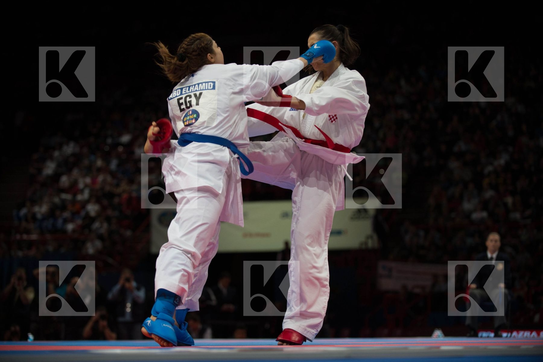 World Senior Karate Championship 2012 Paris 2012