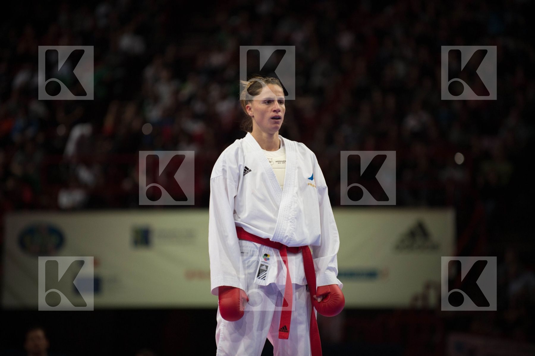 World Senior Karate Championship 2012 Paris 2012