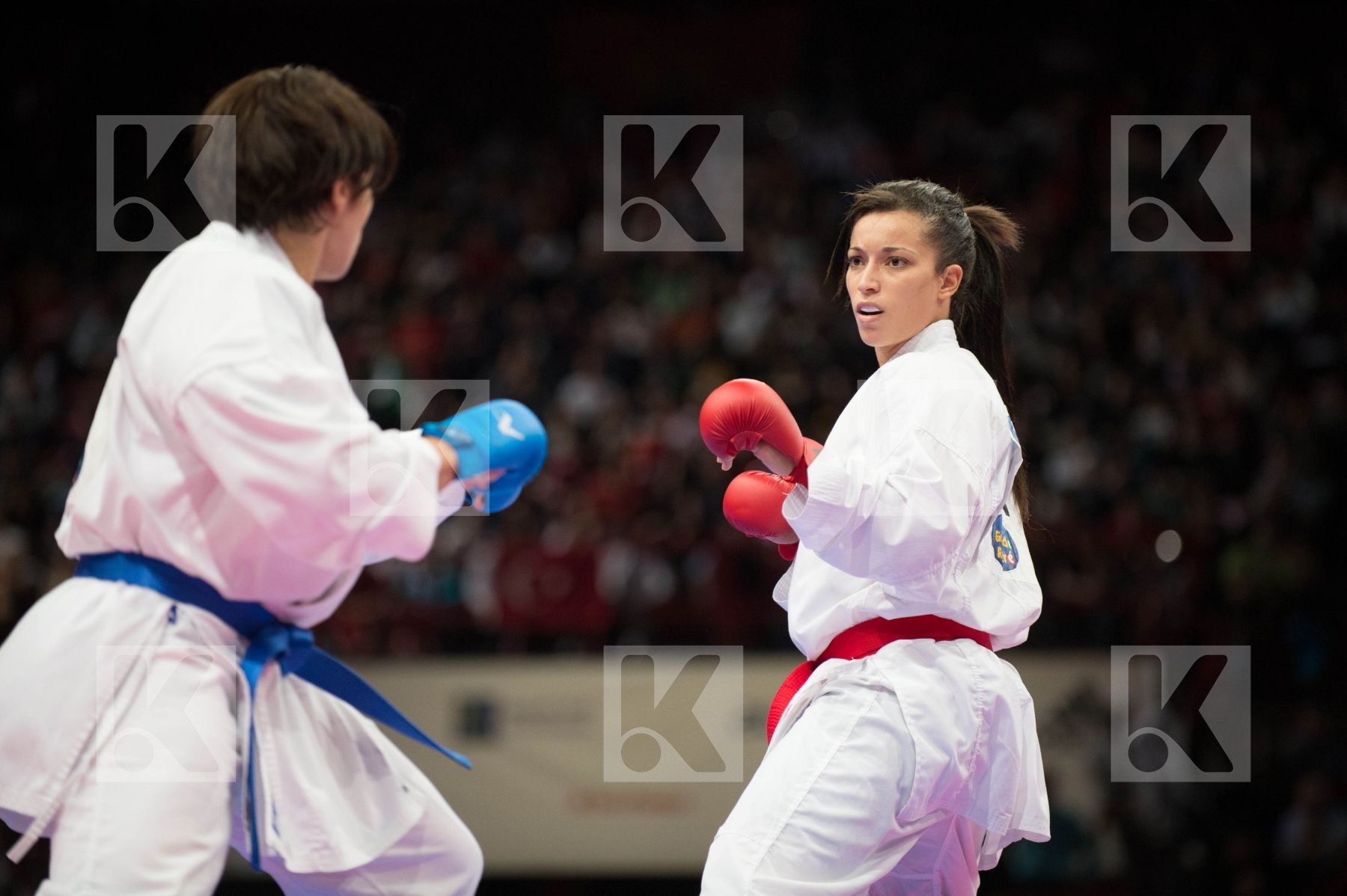 World Senior Karate Championship 2012 Paris 2012