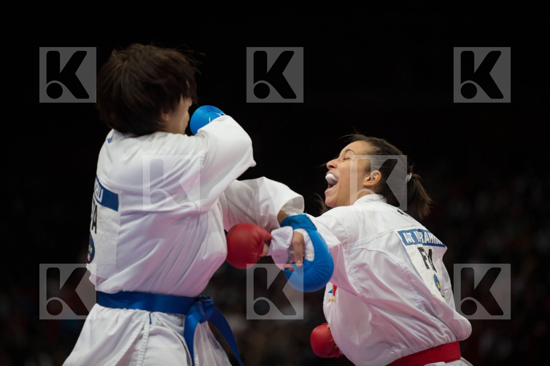 World Senior Karate Championship 2012 Paris 2012