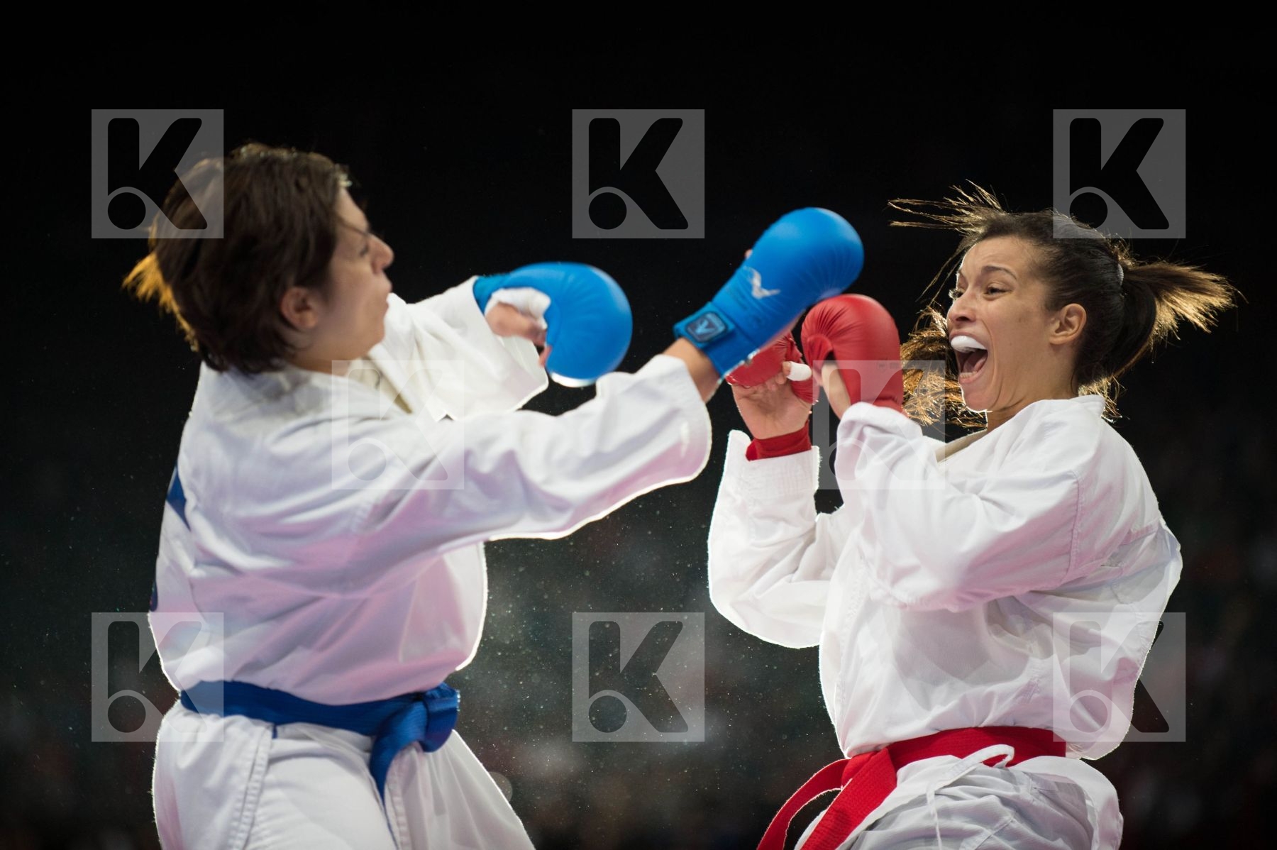World Senior Karate Championship 2012 Paris 2012