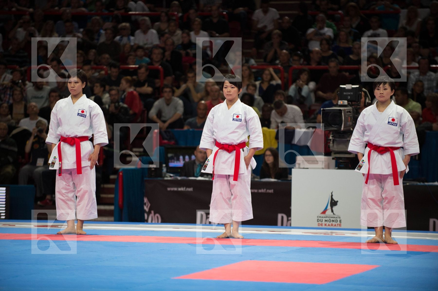 World Senior Karate Championship 2012 Paris 2012