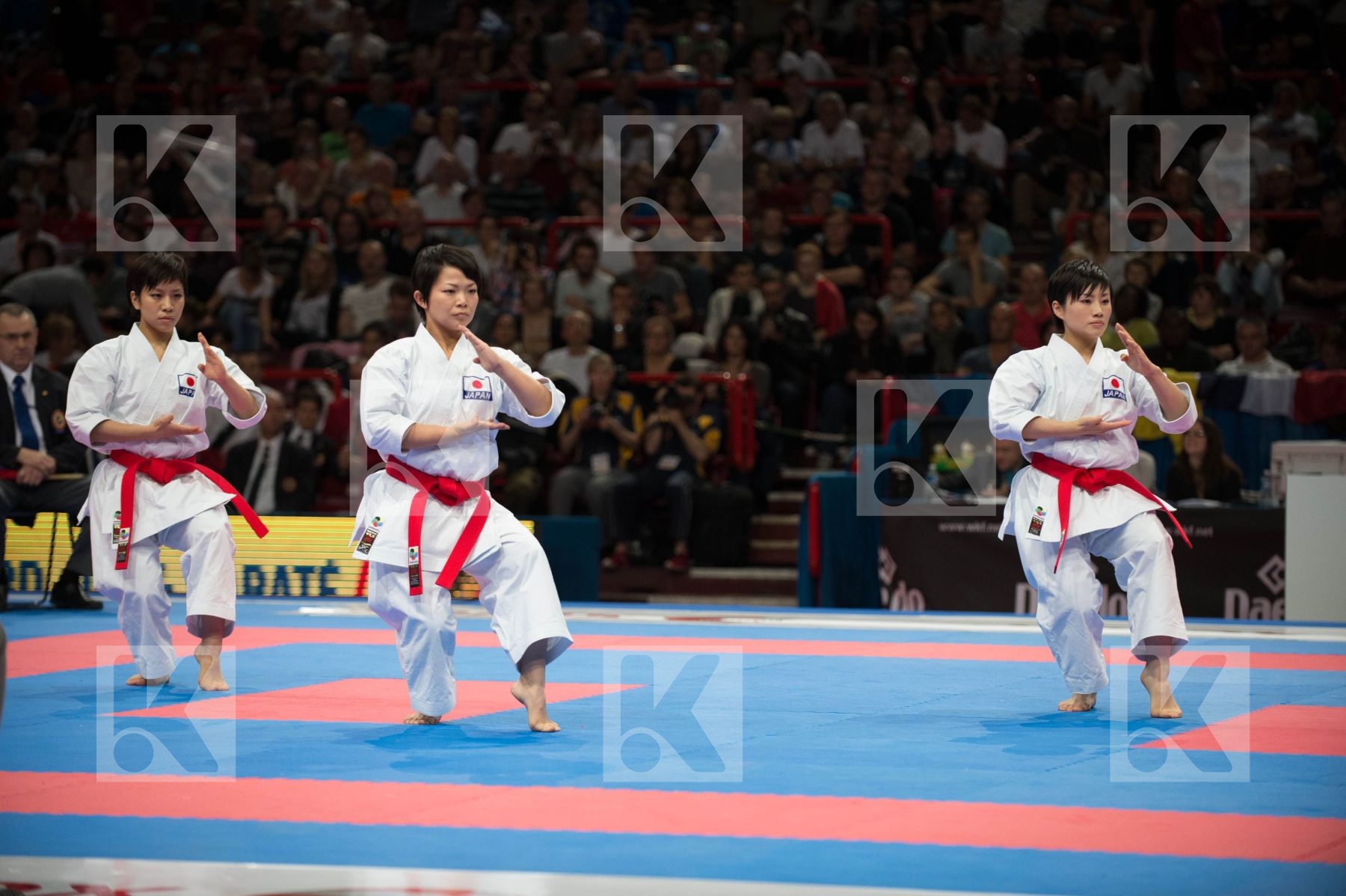 World Senior Karate Championship 2012 Paris 2012