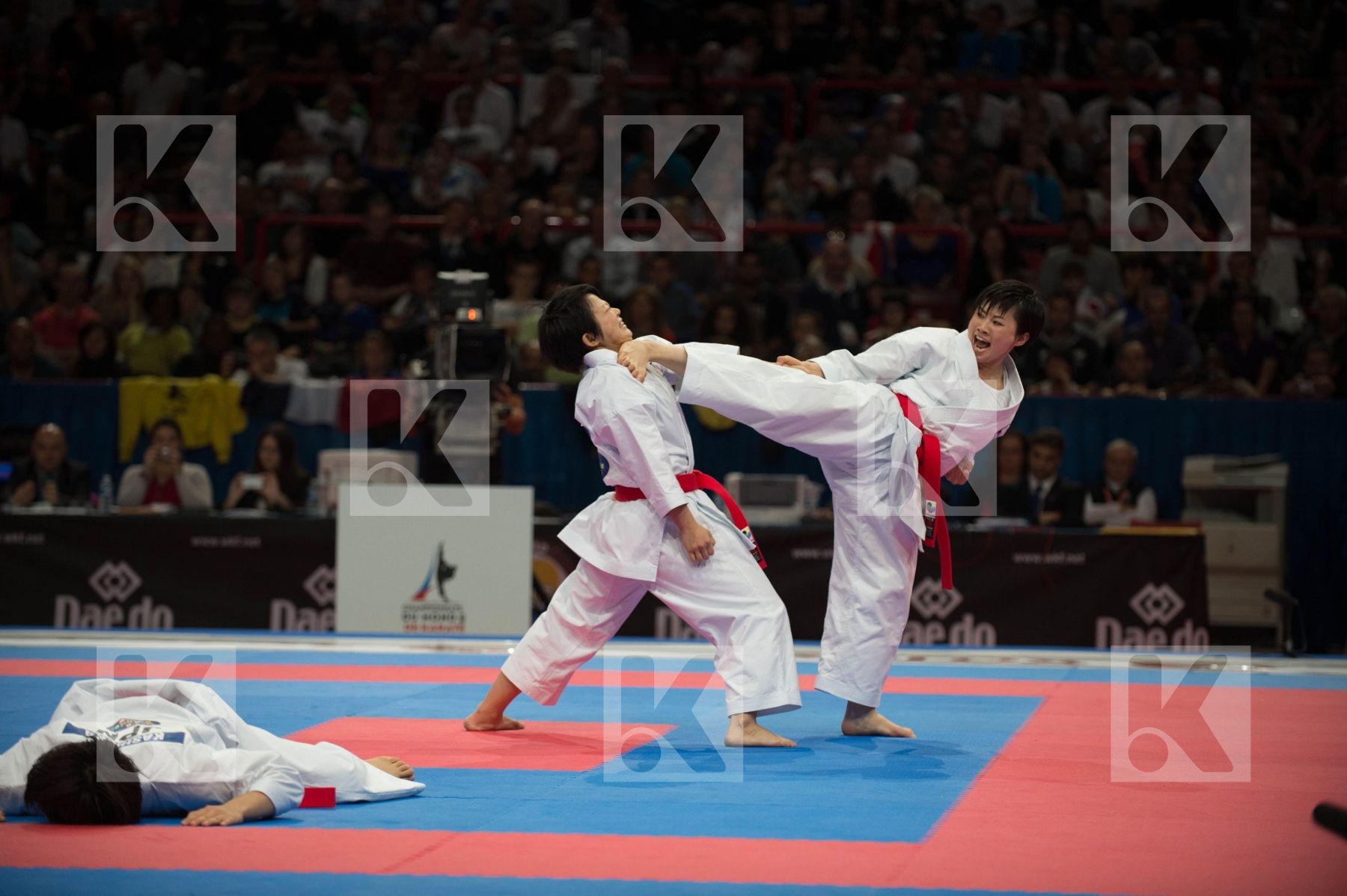 World Senior Karate Championship 2012 Paris 2012