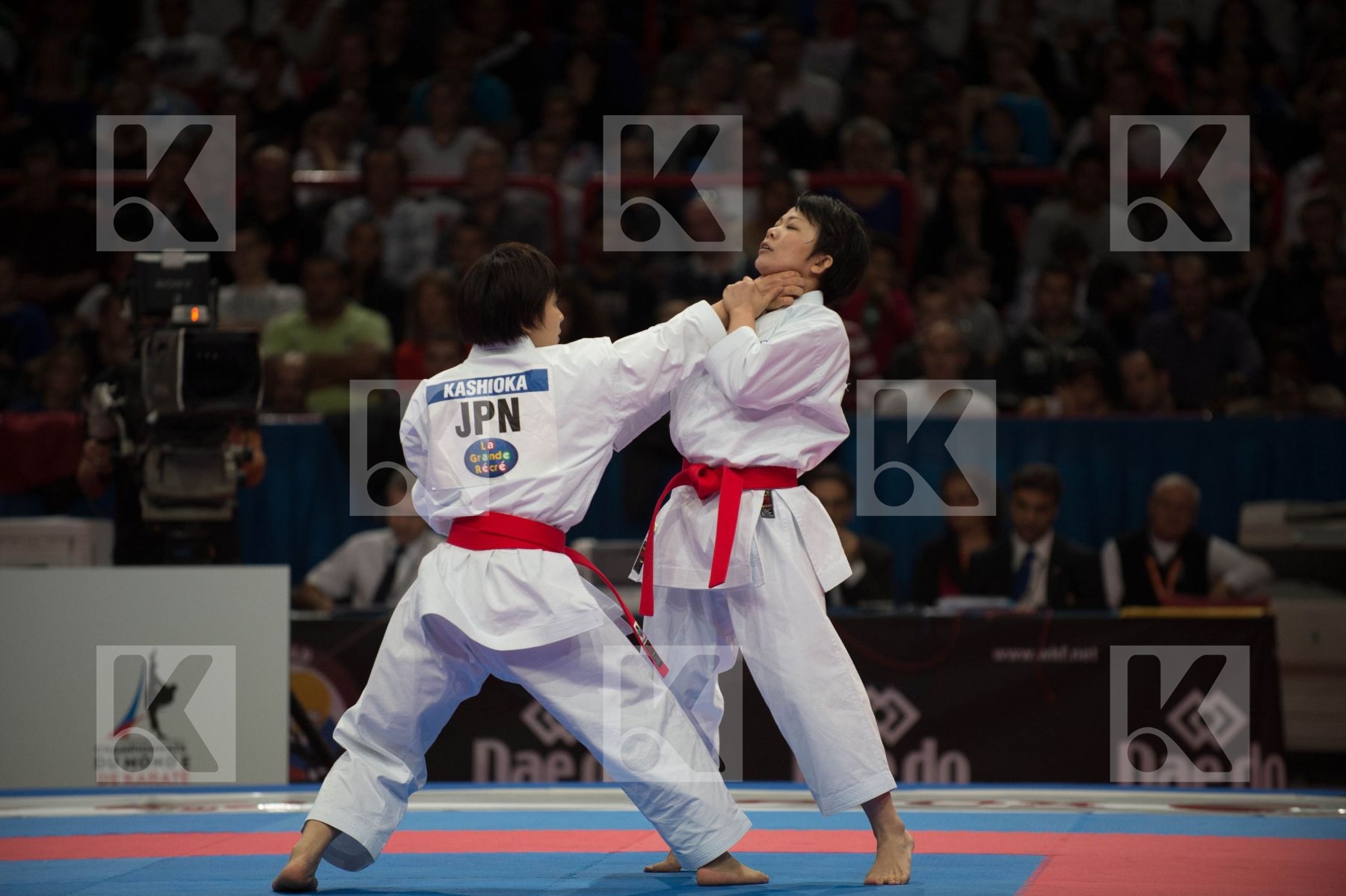 World Senior Karate Championship 2012 Paris 2012