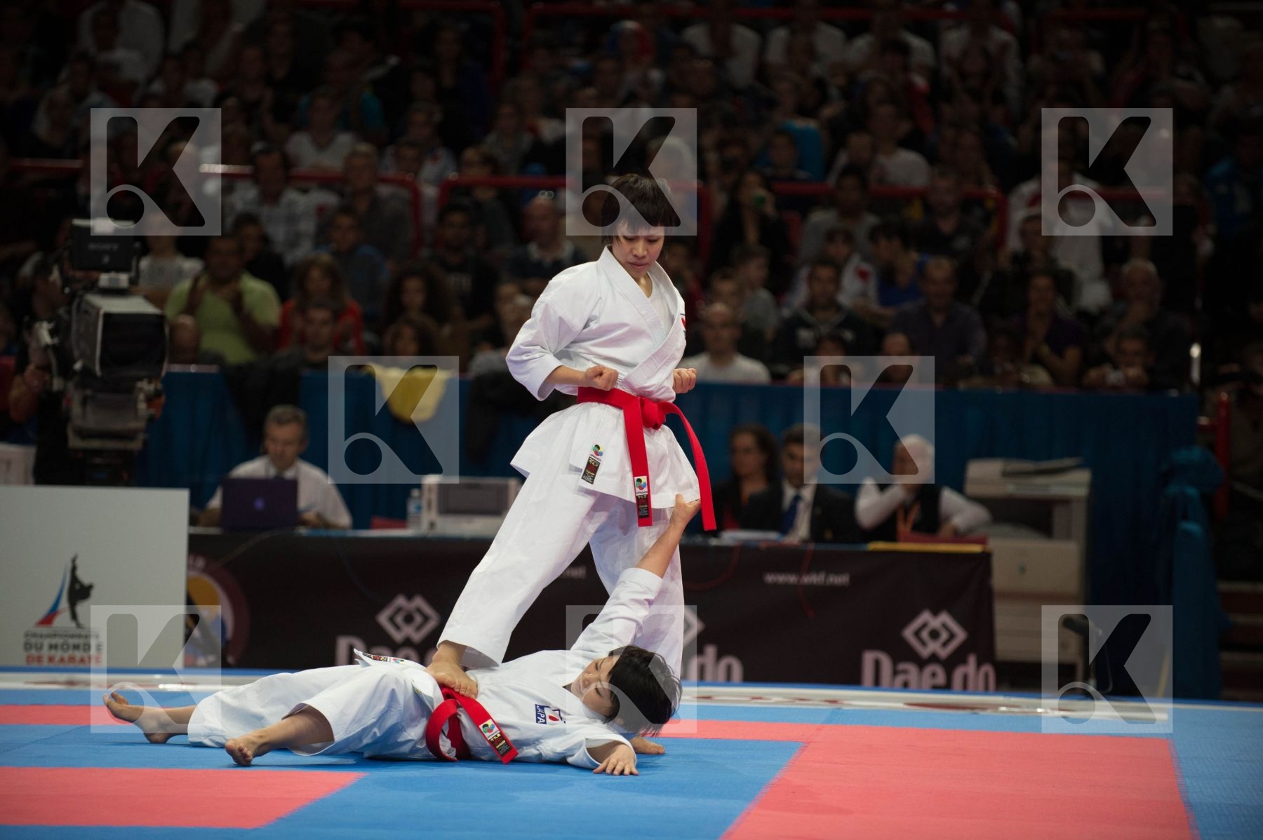 World Senior Karate Championship 2012 Paris 2012