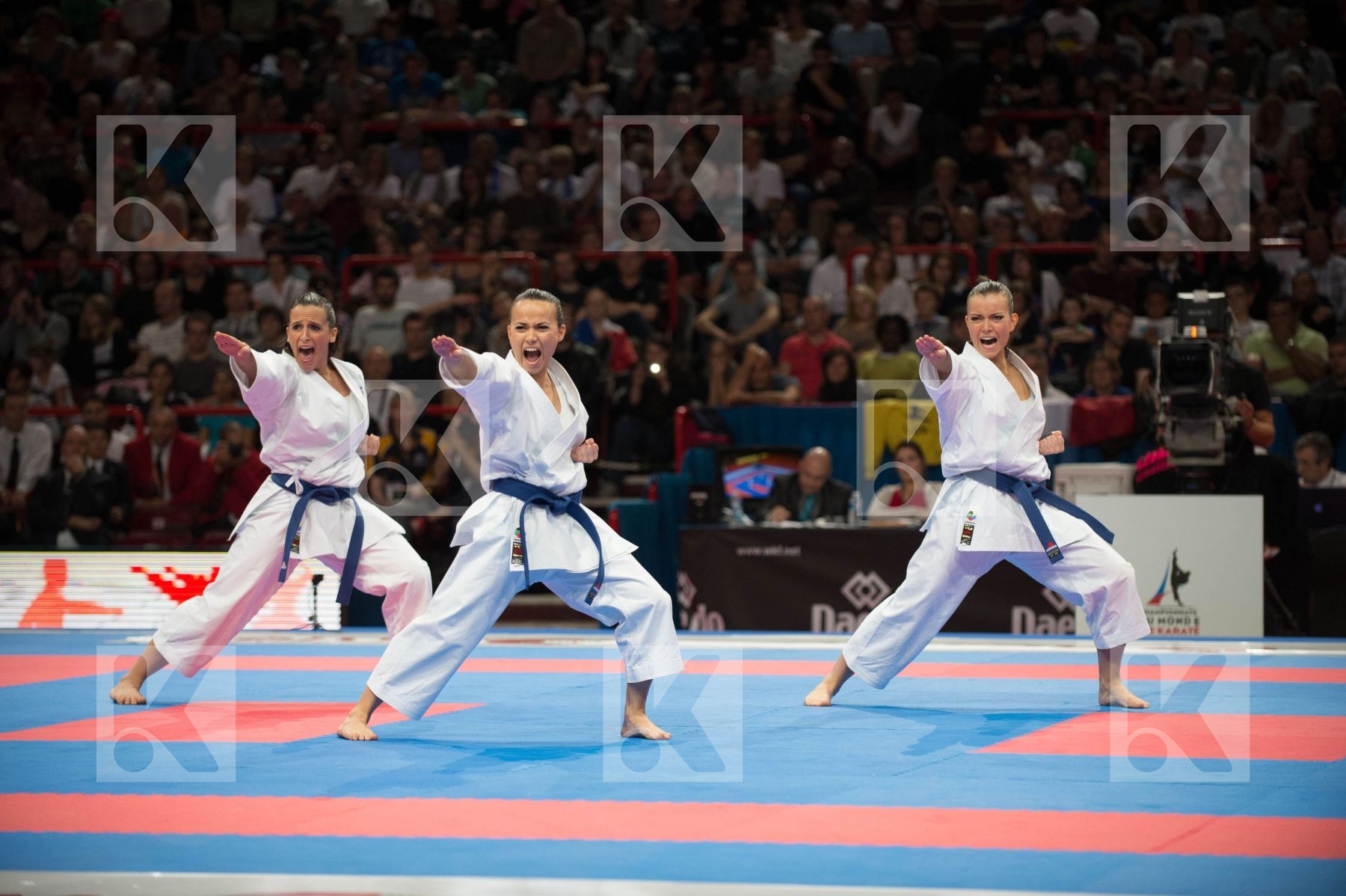 World Senior Karate Championship 2012 Paris 2012