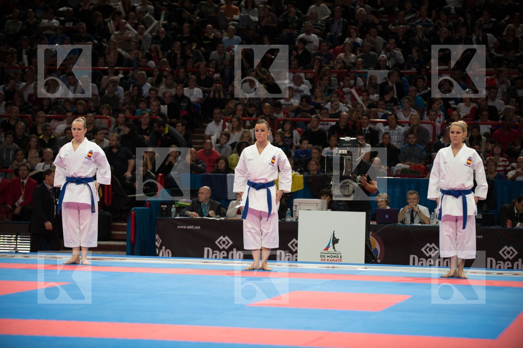 World Senior Karate Championship 2012 Paris 2012