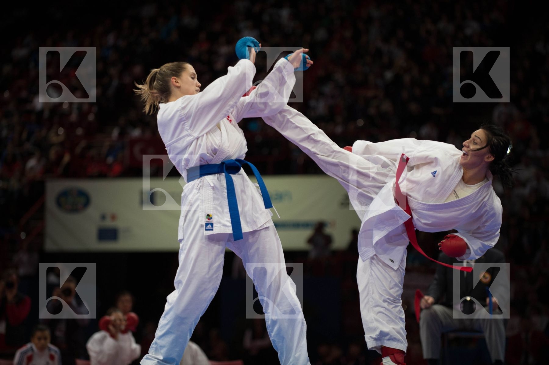 World Senior Karate Championship 2012 Paris 2012