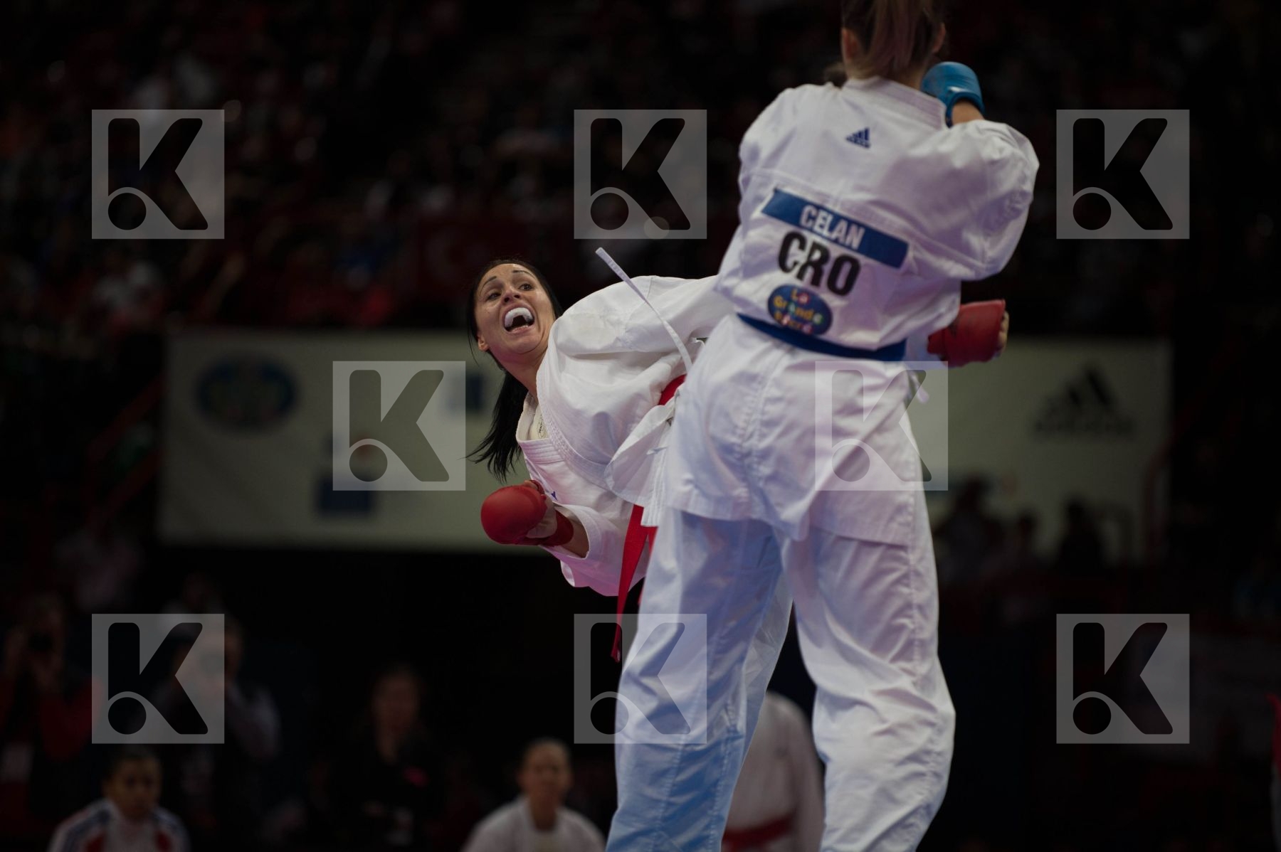 World Senior Karate Championship 2012 Paris 2012