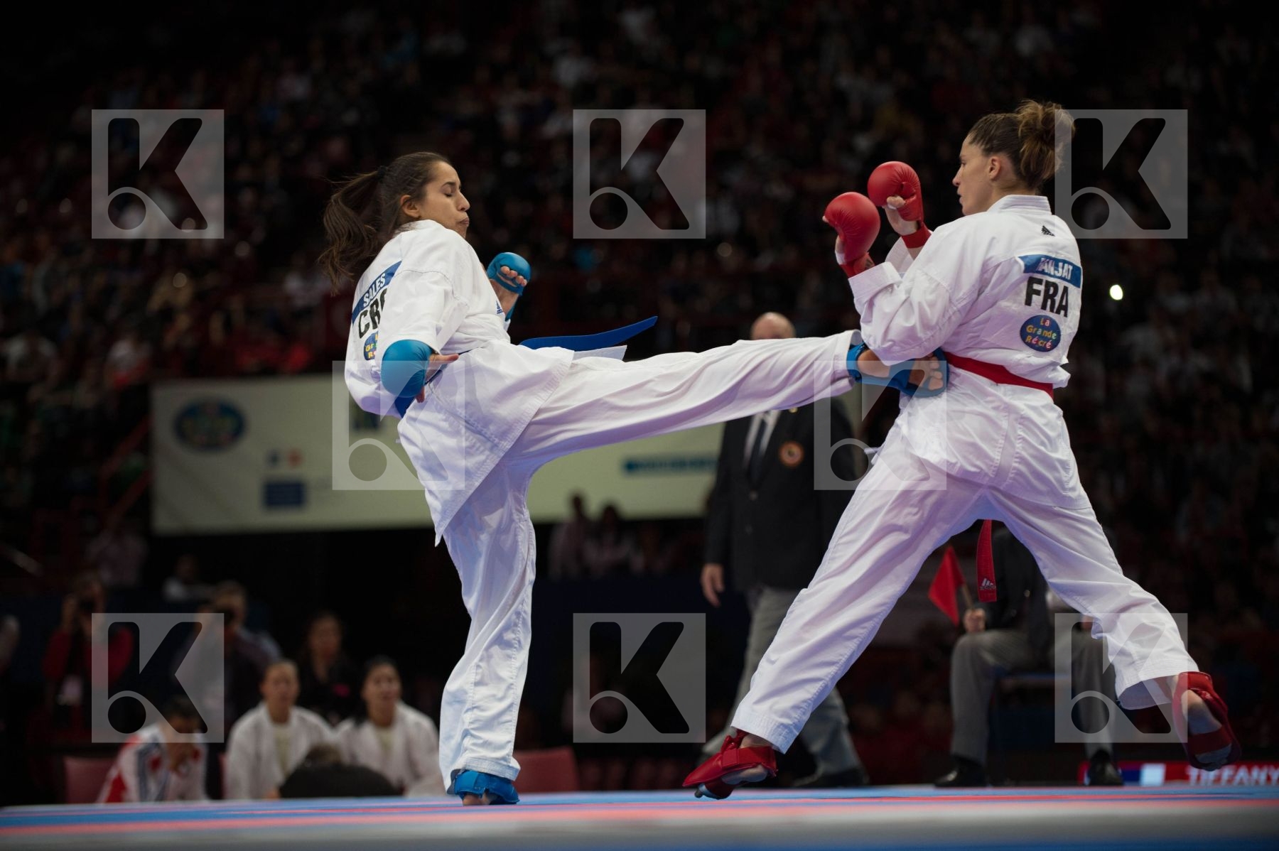 World Senior Karate Championship 2012 Paris 2012