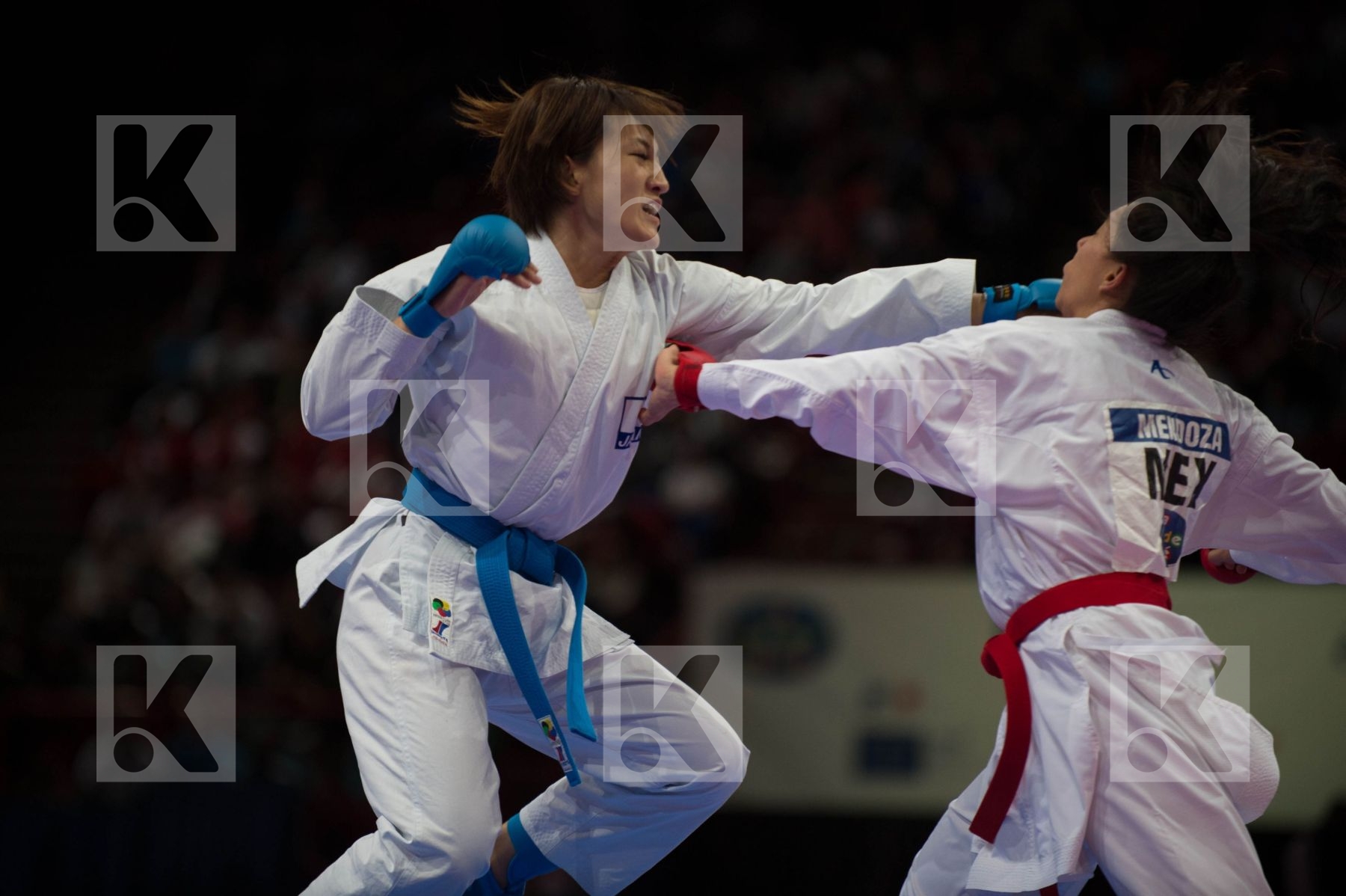 World Senior Karate Championship 2012 Paris 2012