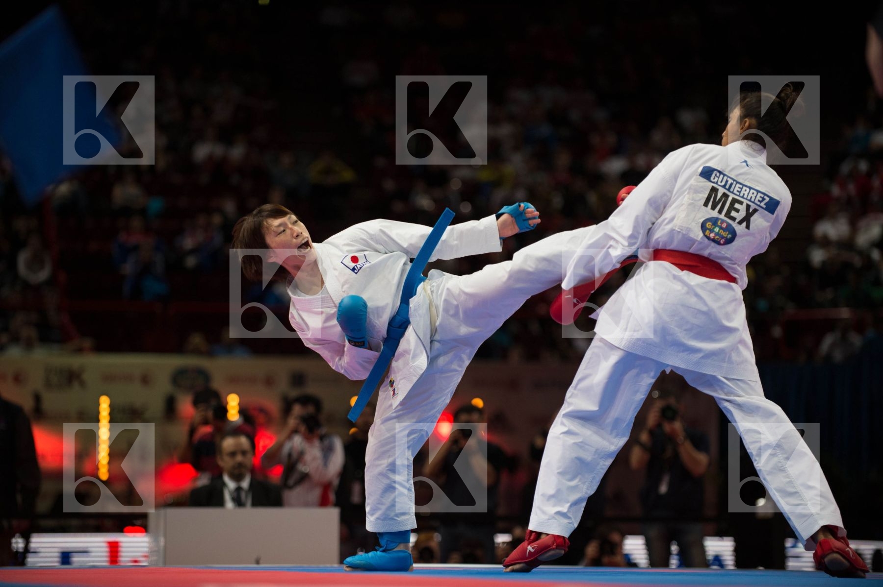 World Senior Karate Championship 2012 Paris 2012