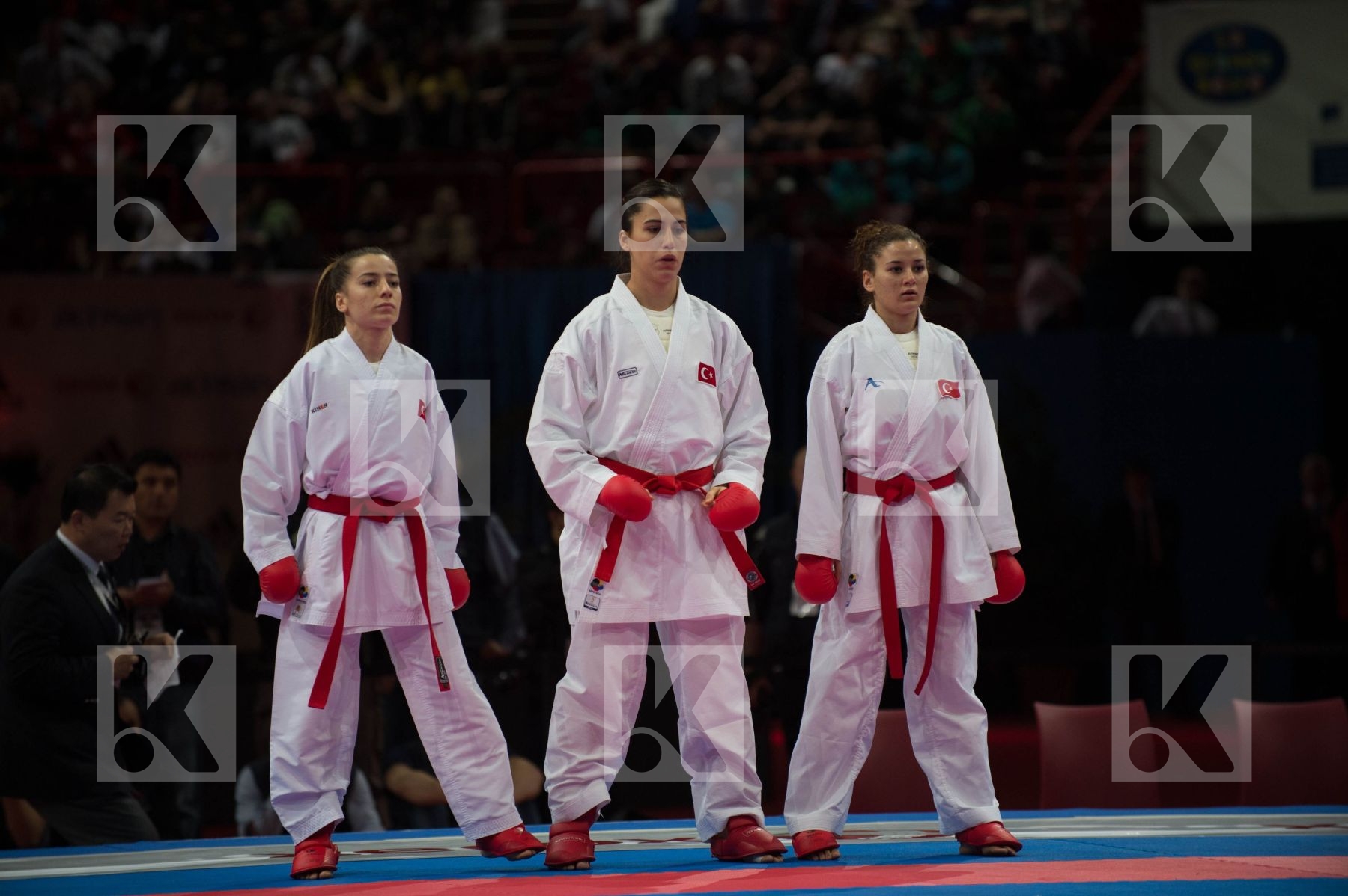 World Senior Karate Championship 2012 Paris 2012
