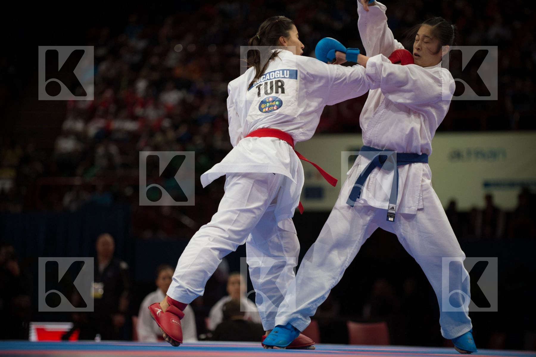 World Senior Karate Championship 2012 Paris 2012