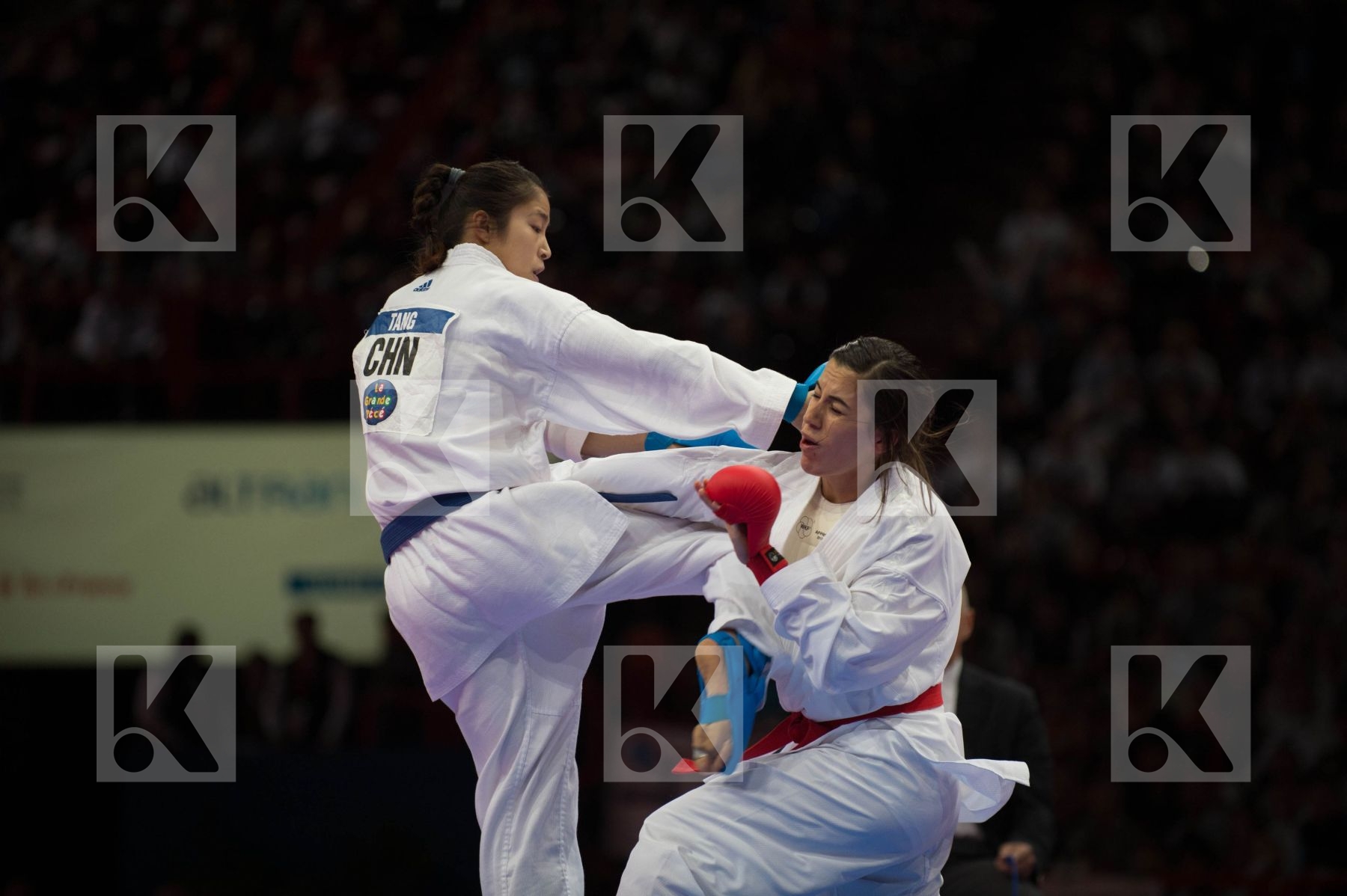 World Senior Karate Championship 2012 Paris 2012