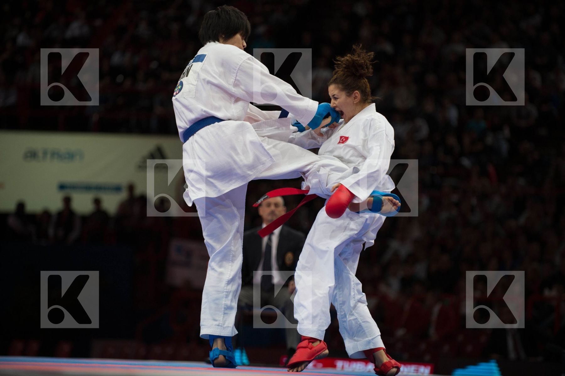 World Senior Karate Championship 2012 Paris 2012