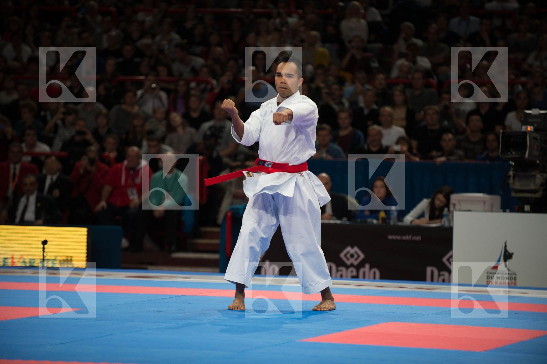 World Senior Karate Championship 2012 Paris 2012