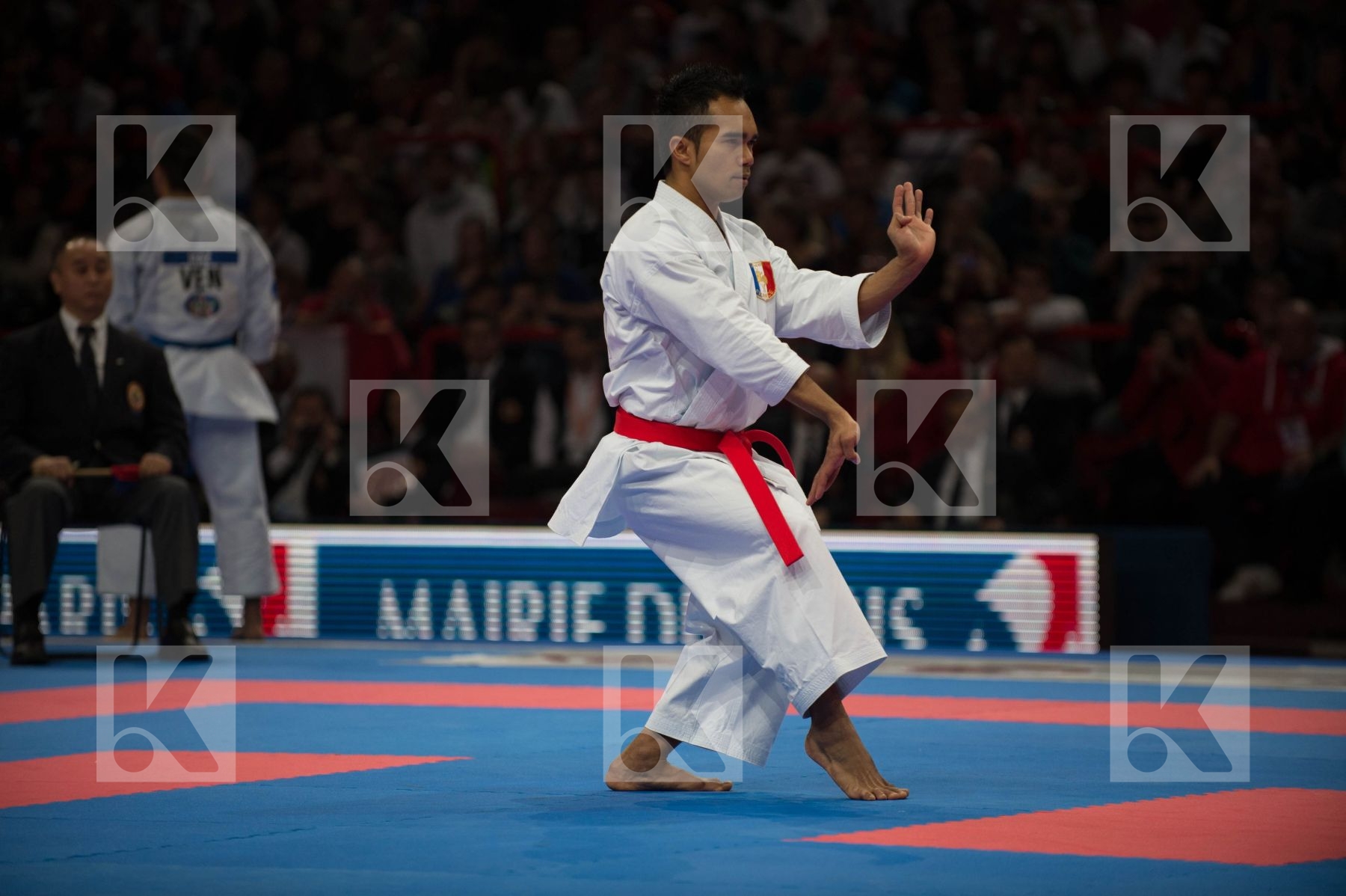 World Senior Karate Championship 2012 Paris 2012