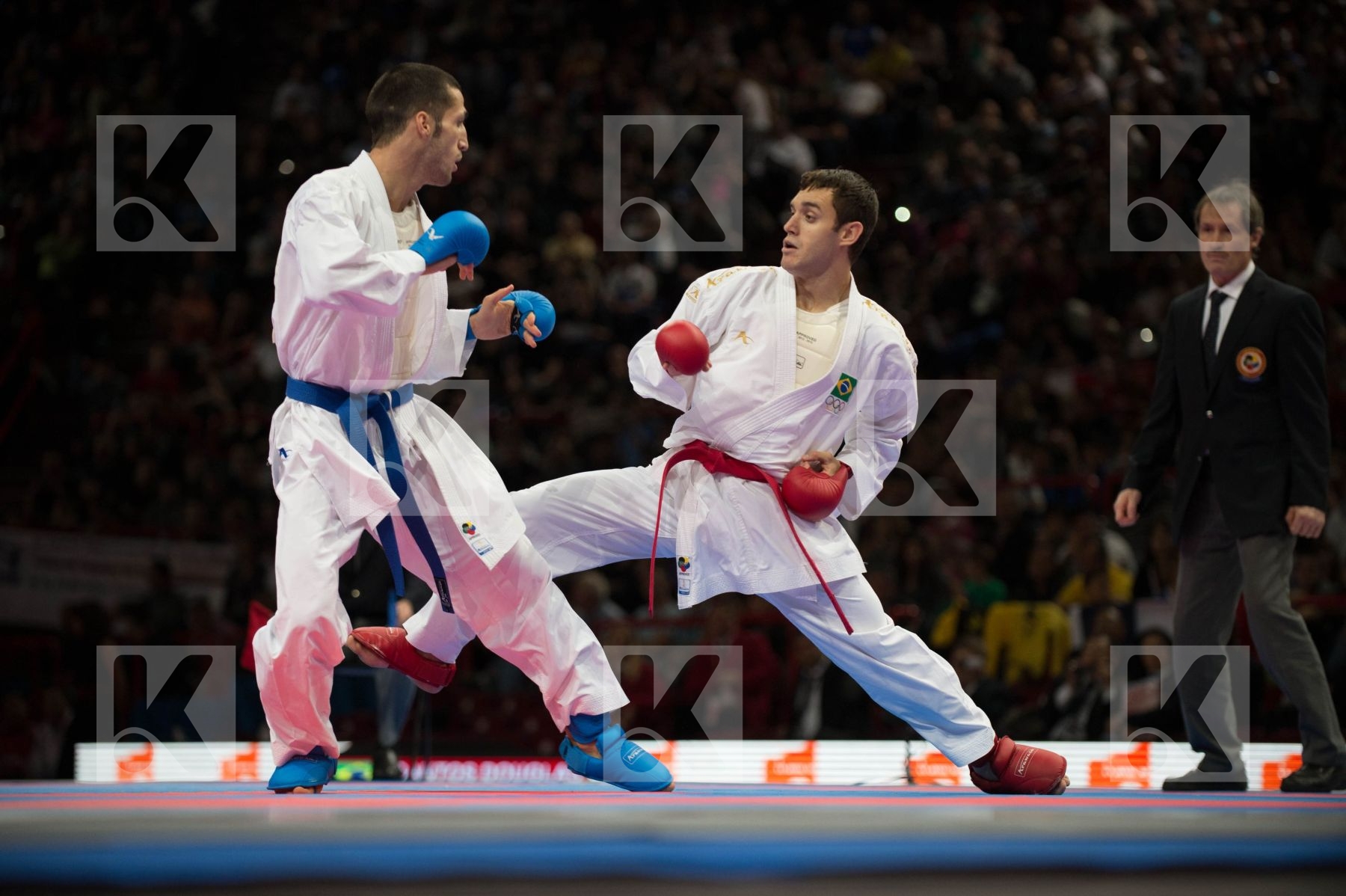 World Senior Karate Championship 2012 Paris 2012