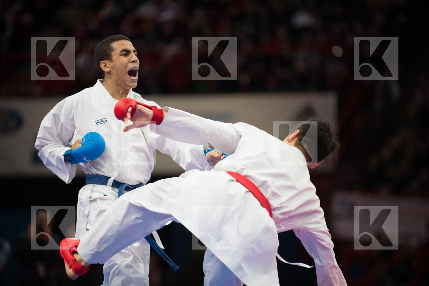 World Senior Karate Championship 2012 Paris 2012