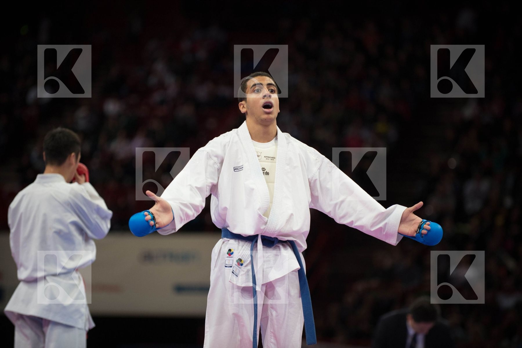 World Senior Karate Championship 2012 Paris 2012