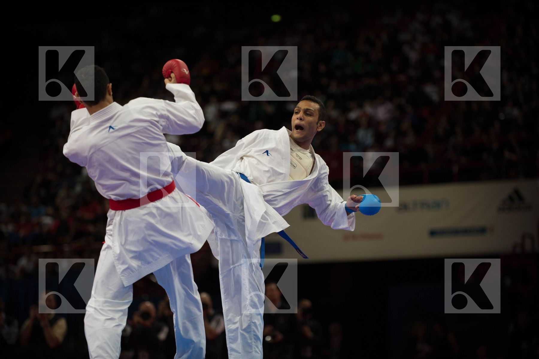 World Senior Karate Championship 2012 Paris 2012
