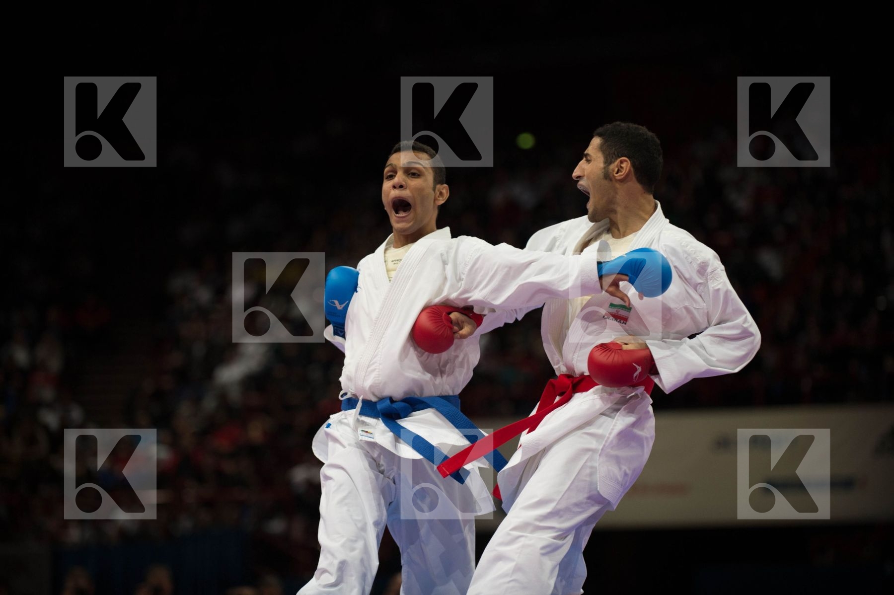 World Senior Karate Championship 2012 Paris 2012