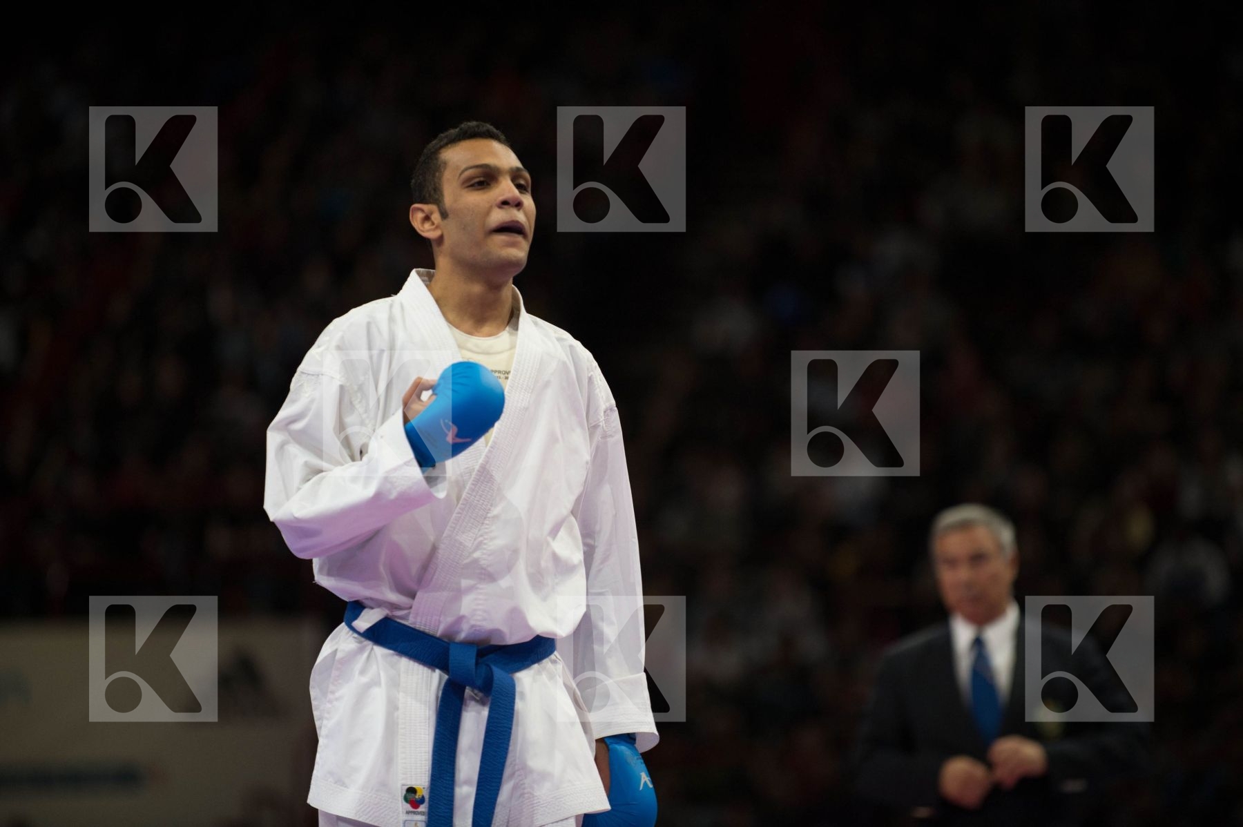 World Senior Karate Championship 2012 Paris 2012