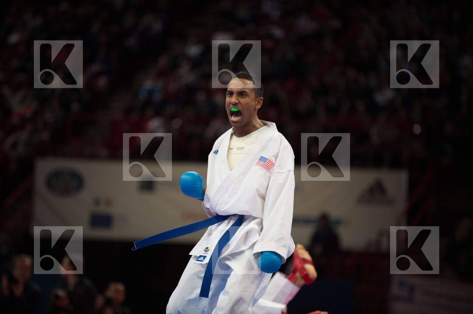 World Senior Karate Championship 2012 Paris 2012