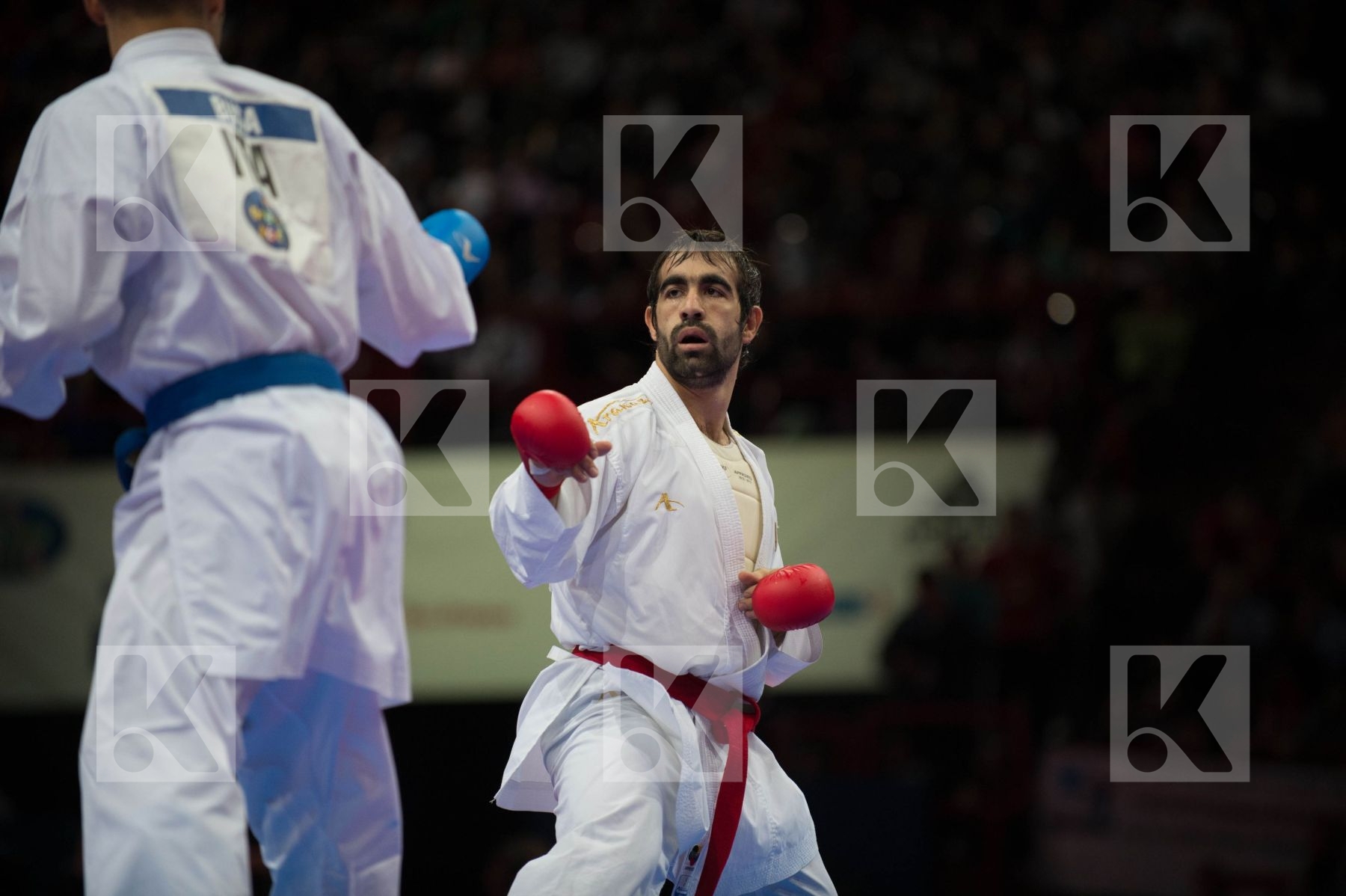 World Senior Karate Championship 2012 Paris 2012