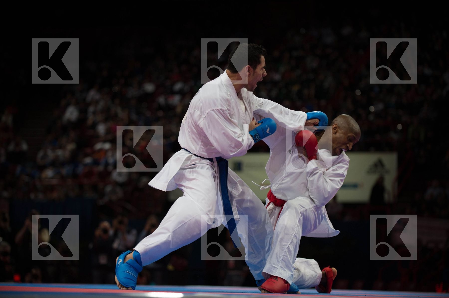 World Senior Karate Championship 2012 Paris 2012