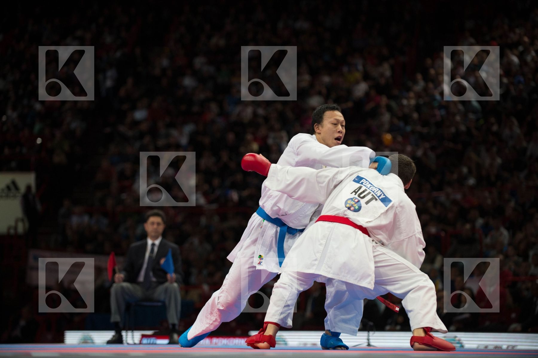 World Senior Karate Championship 2012 Paris 2012