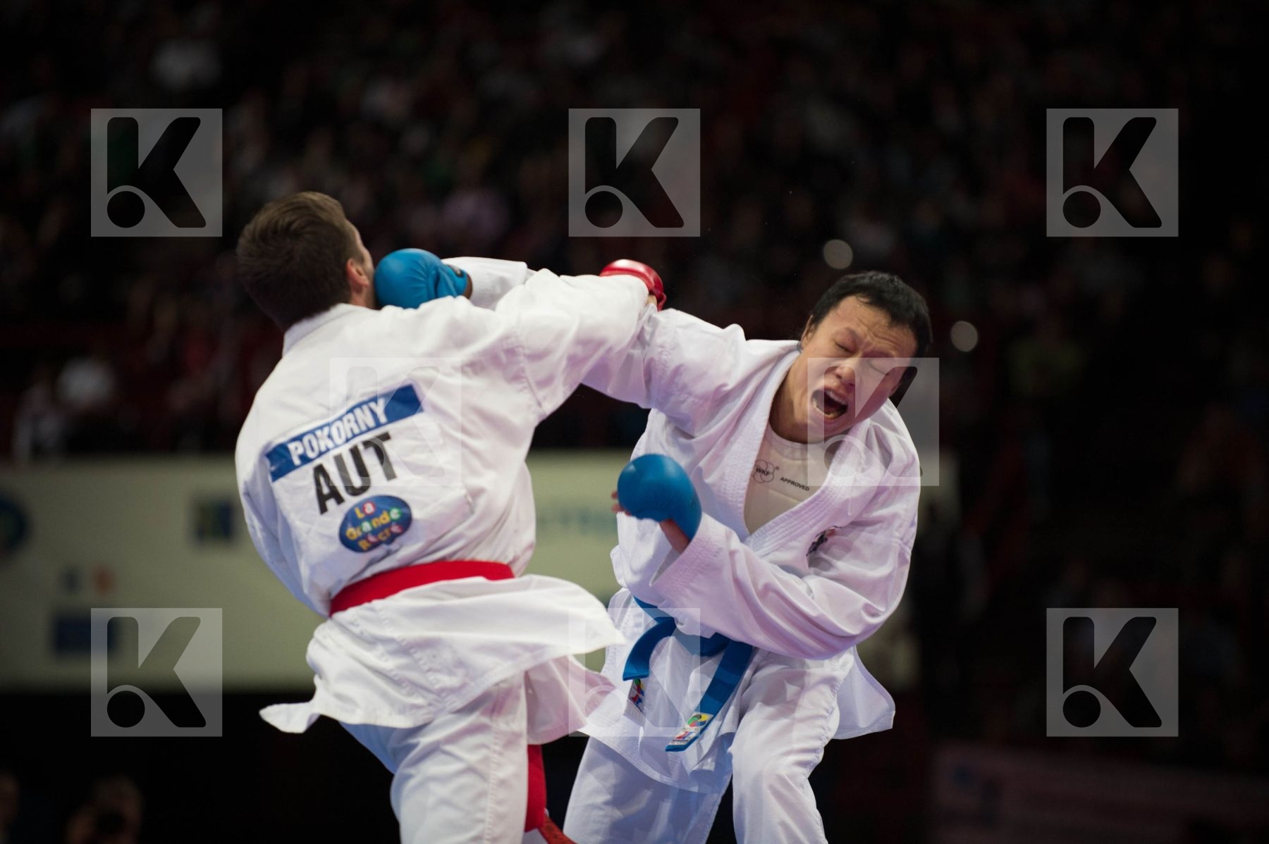 World Senior Karate Championship 2012 Paris 2012
