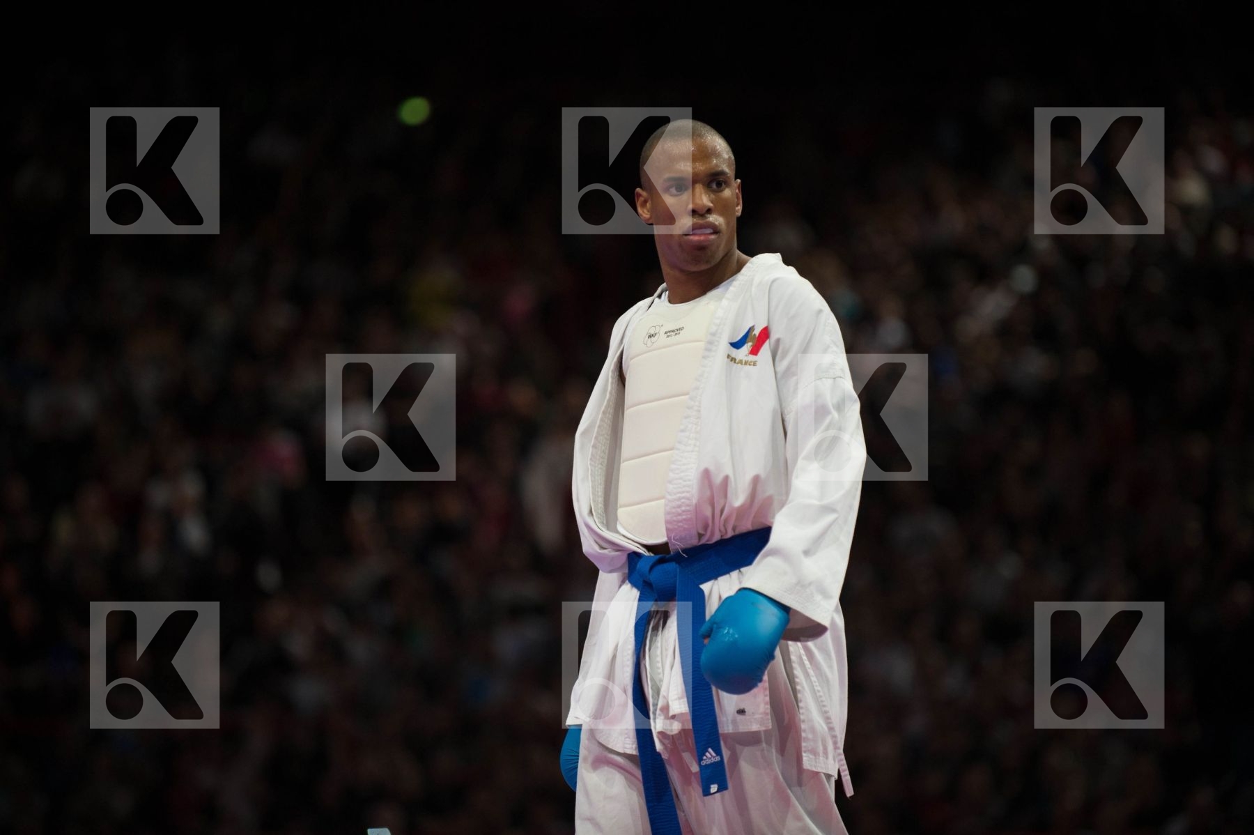 World Senior Karate Championship 2012 Paris 2012