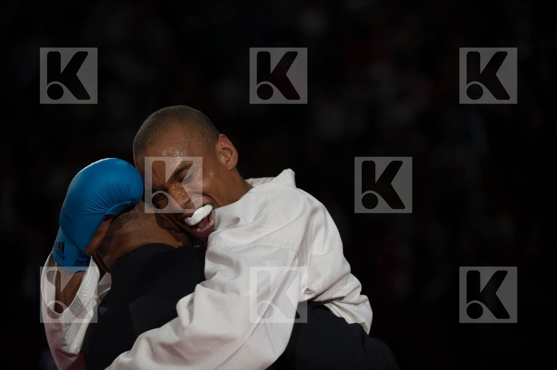 World Senior Karate Championship 2012 Paris 2012