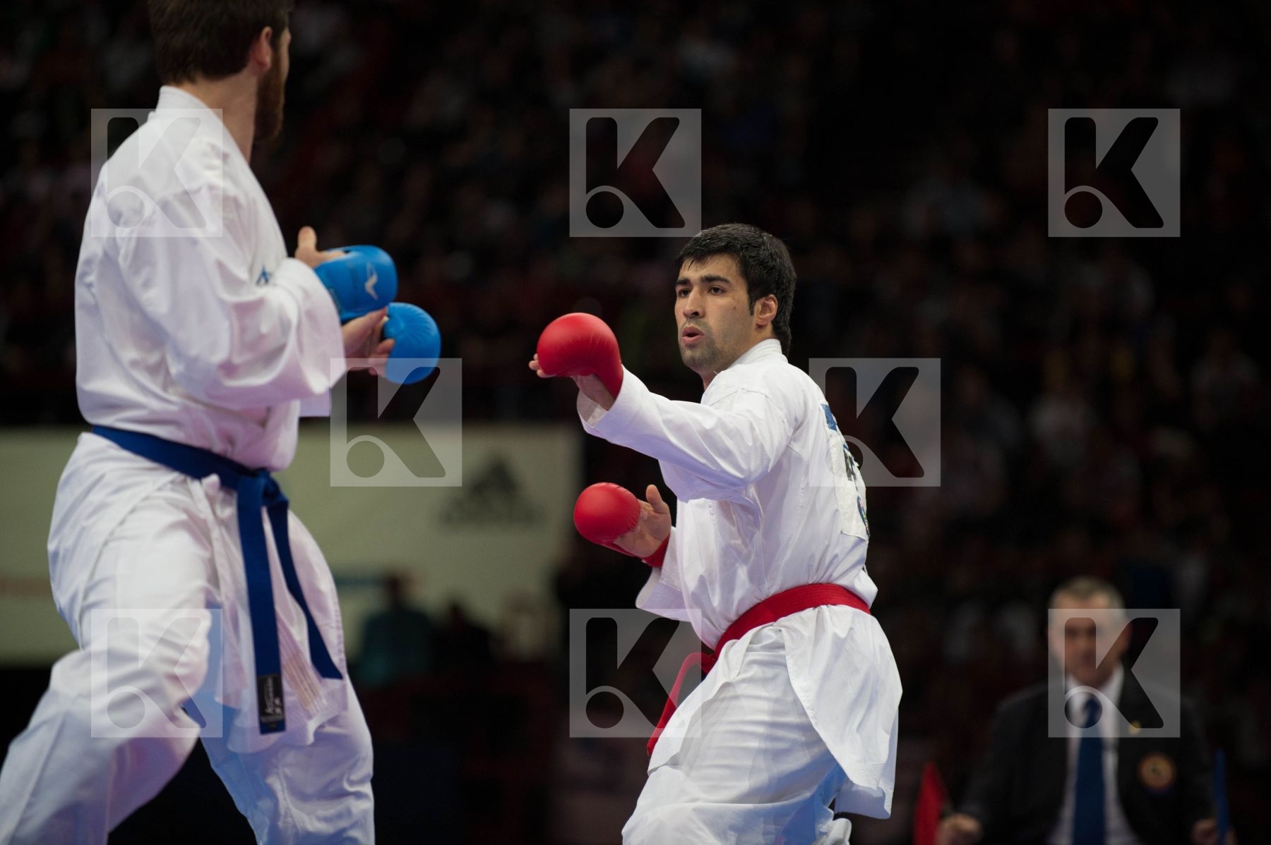 World Senior Karate Championship 2012 Paris 2012
