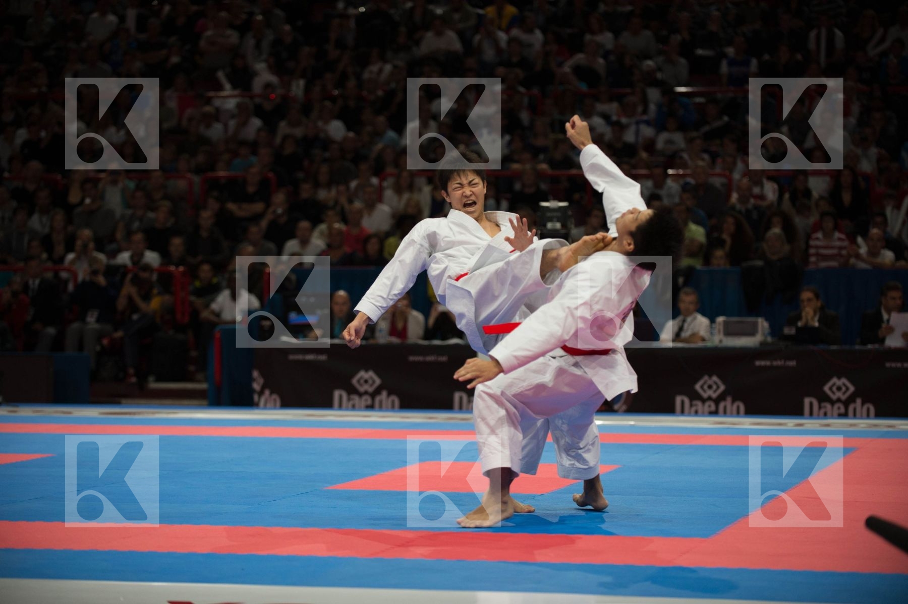 World Senior Karate Championship 2012 Paris 2012