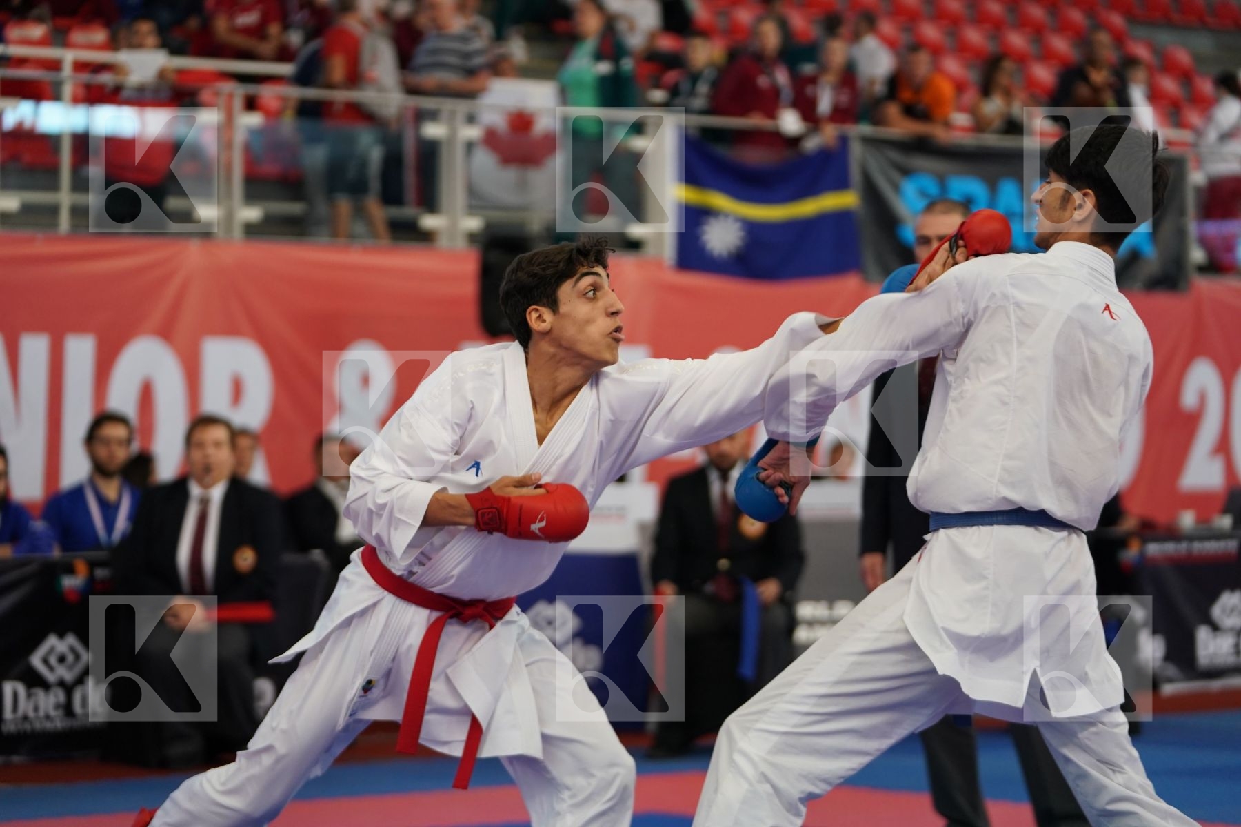ALJAFARI MOHAMMAD (JORDAN) vs GHONEM HOSSAM (EGYPT) in Cadet Kumite Male -70 Kg - Podium ceremony