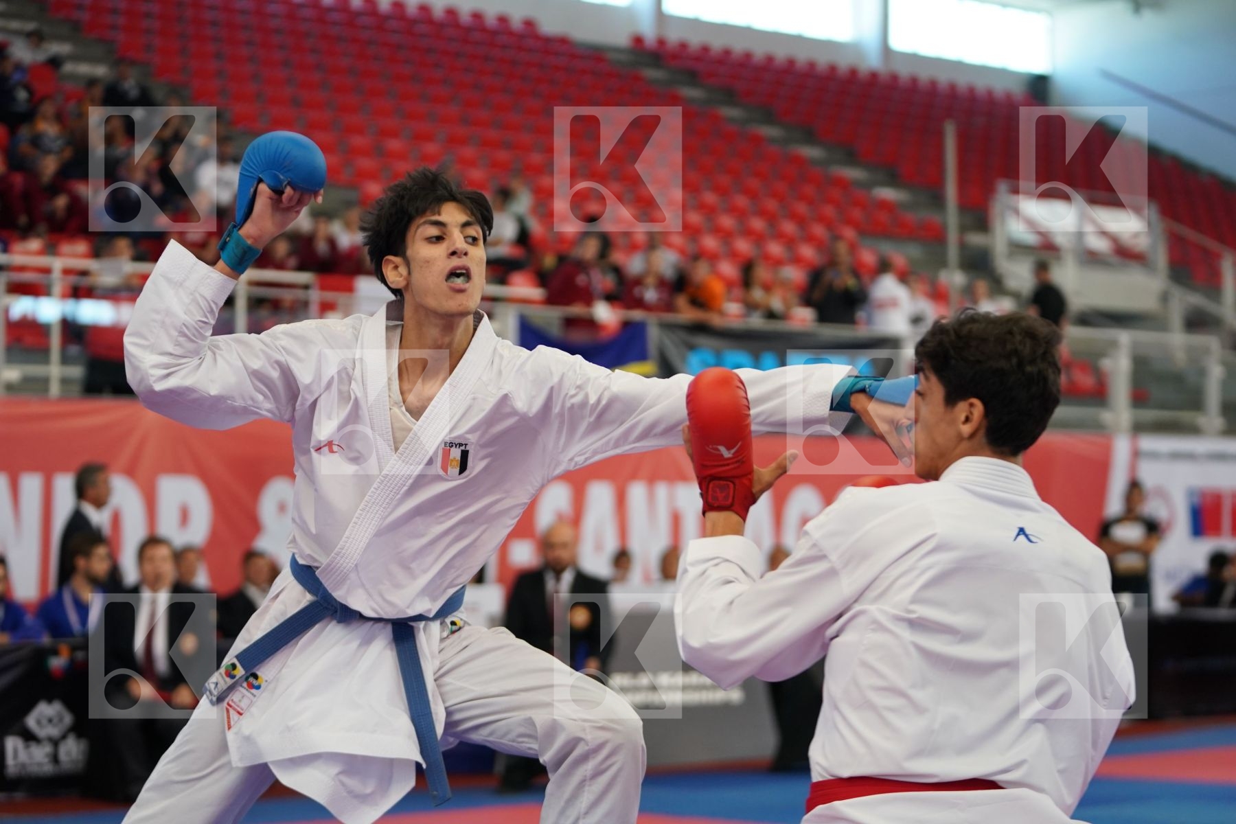 ALJAFARI MOHAMMAD (JORDAN) vs GHONEM HOSSAM (EGYPT) in Cadet Kumite Male -70 Kg - Podium ceremony