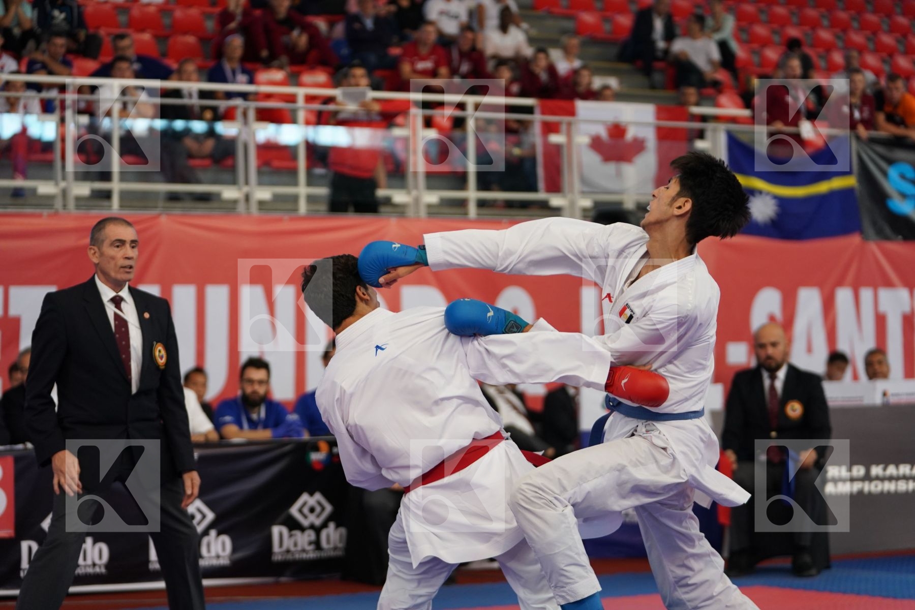 ALJAFARI MOHAMMAD (JORDAN) vs GHONEM HOSSAM (EGYPT) in Cadet Kumite Male -70 Kg - Podium ceremony